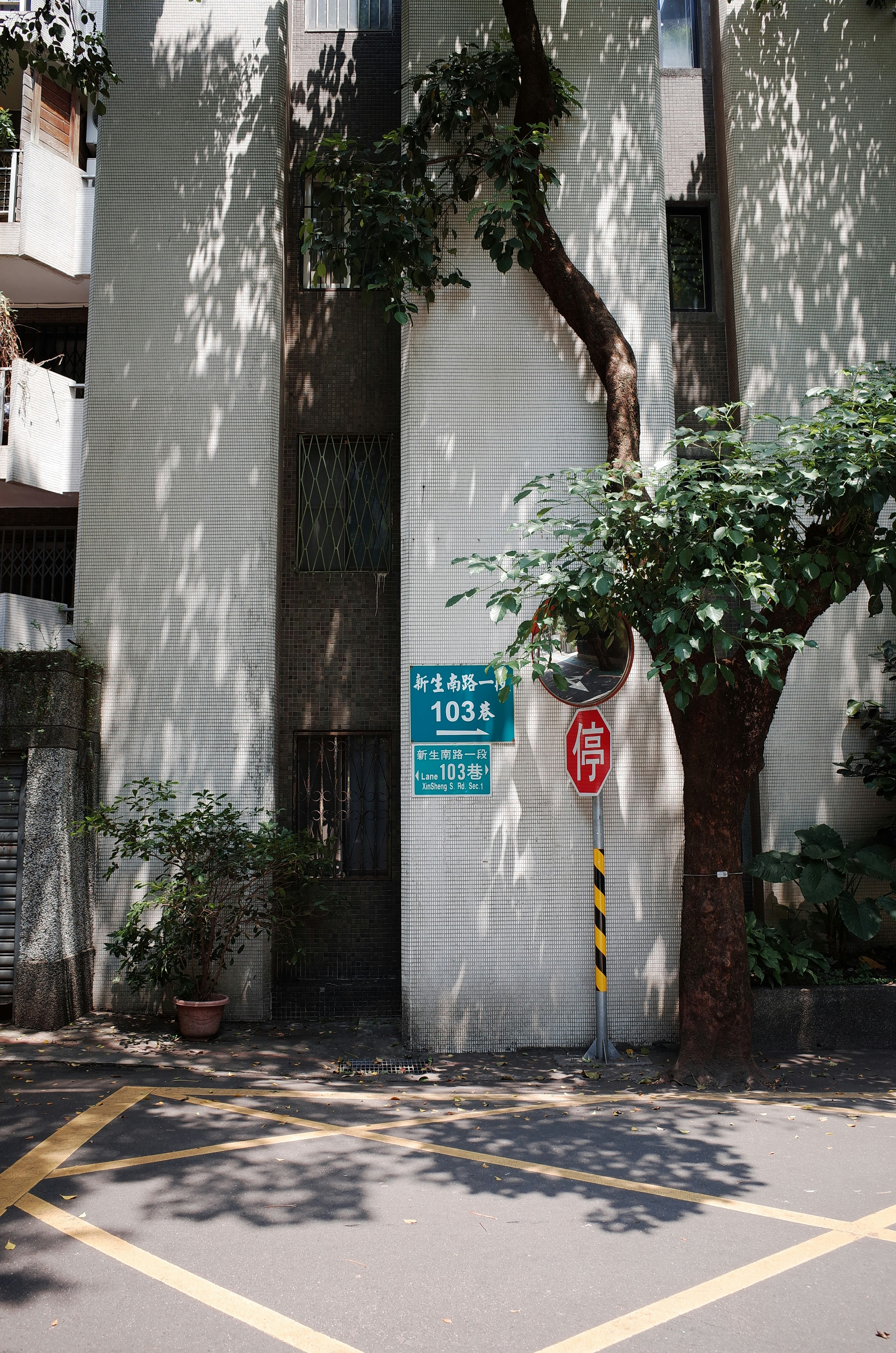 Eingang in einer engen Gasse mit Topfpflanzen und Schildern an einer weißen Wand