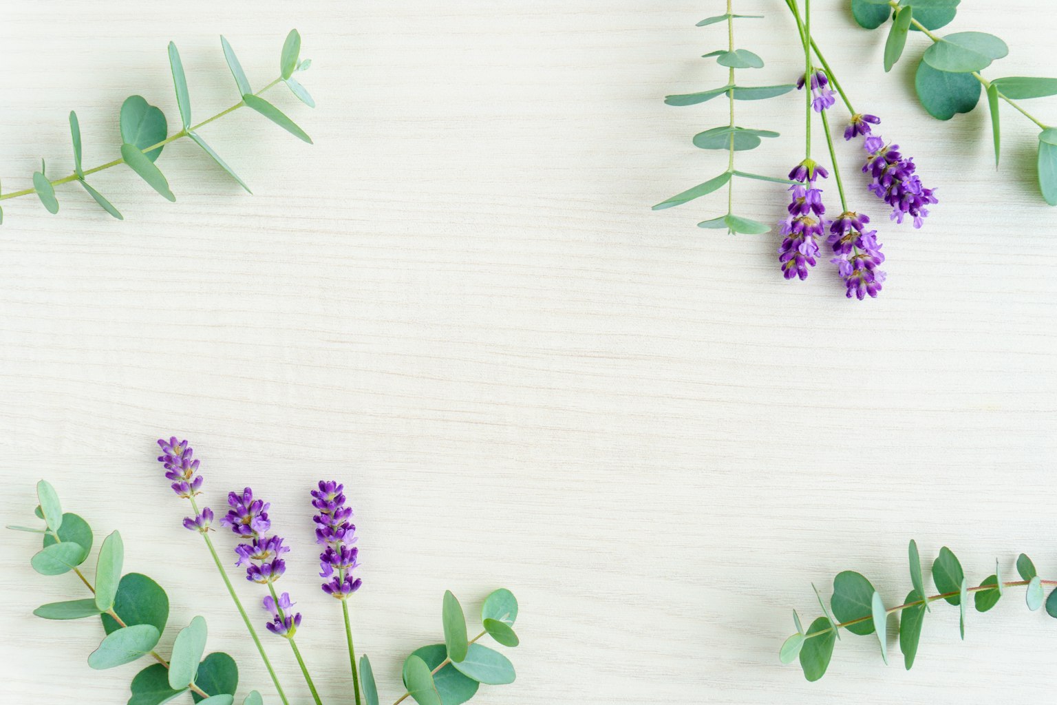 Lavendelblüten und Eukalyptusblätter auf einem weißen Hintergrund angeordnet