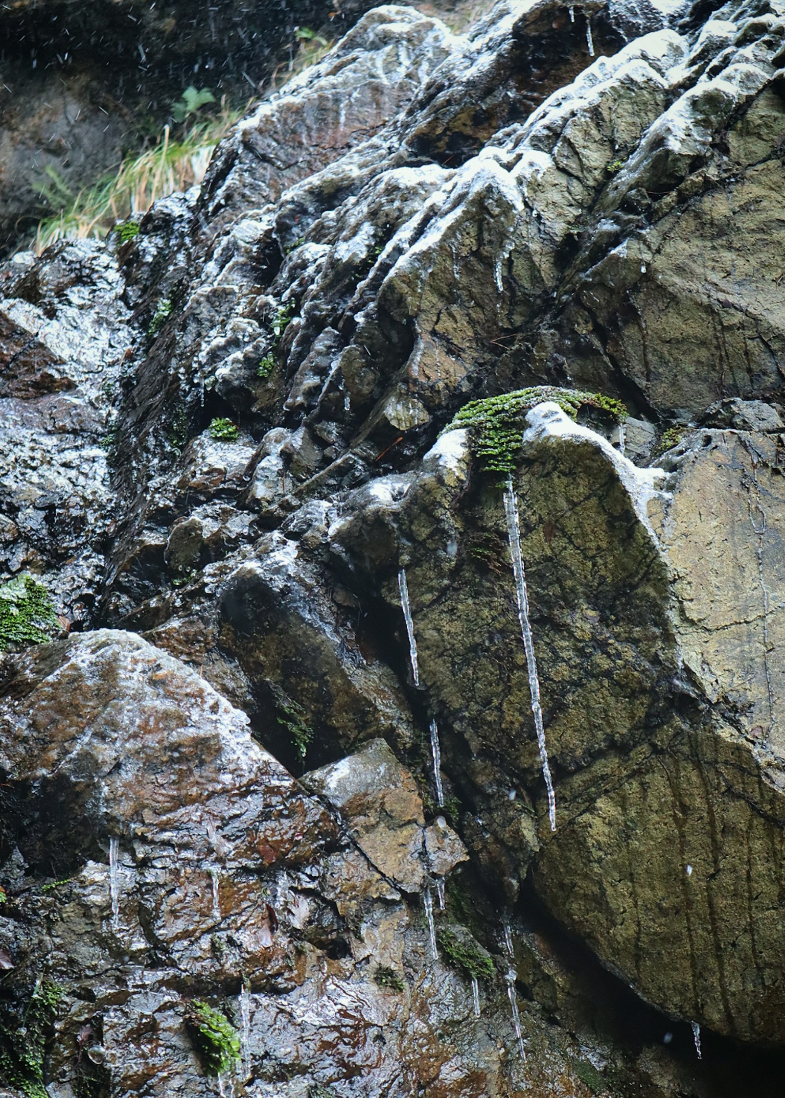 水滴从岩石表面流下，伴有绿色植物