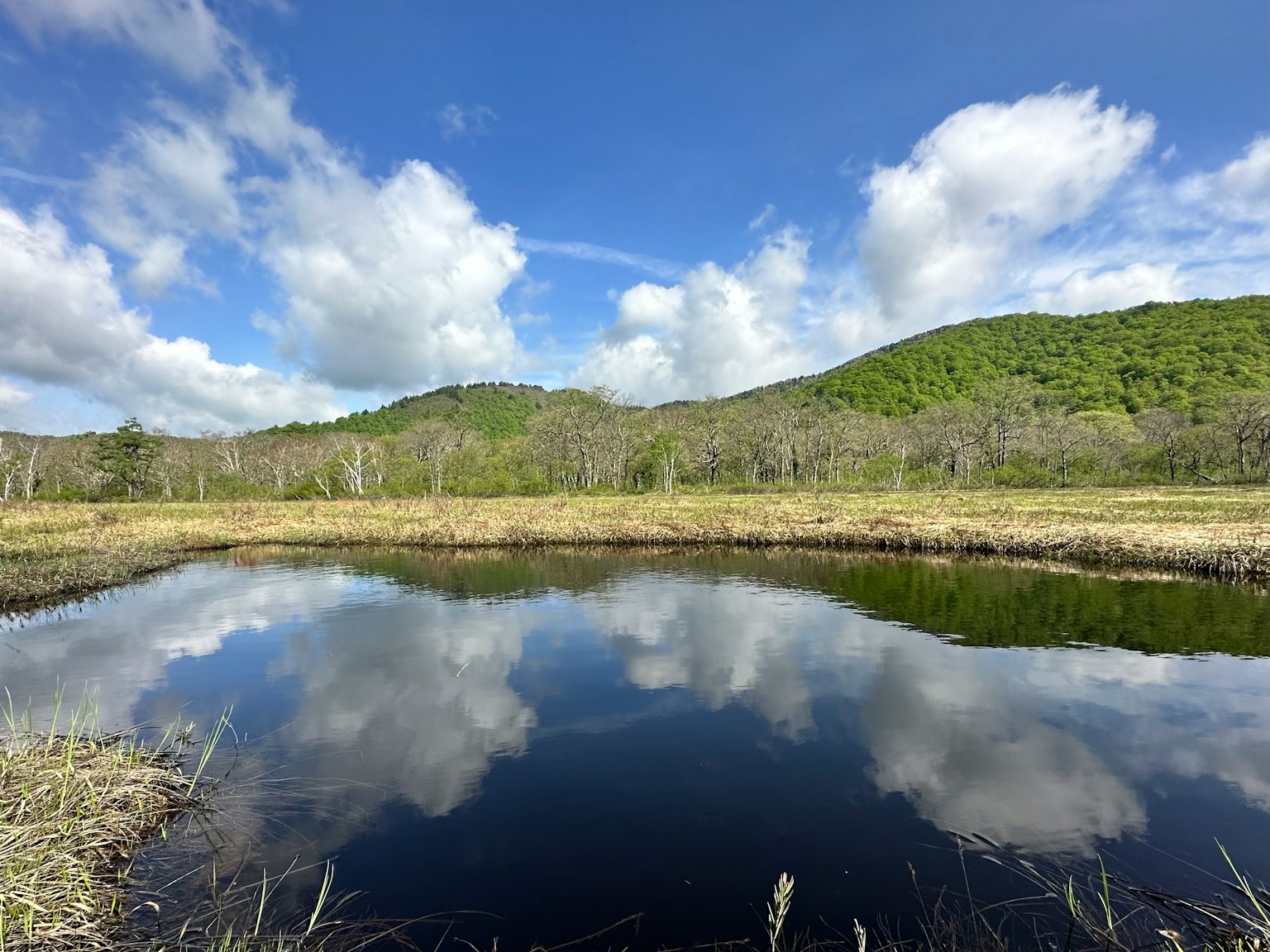 Un étang serein reflétant un ciel bleu et des nuages blancs entouré de collines verdoyantes et de prairies