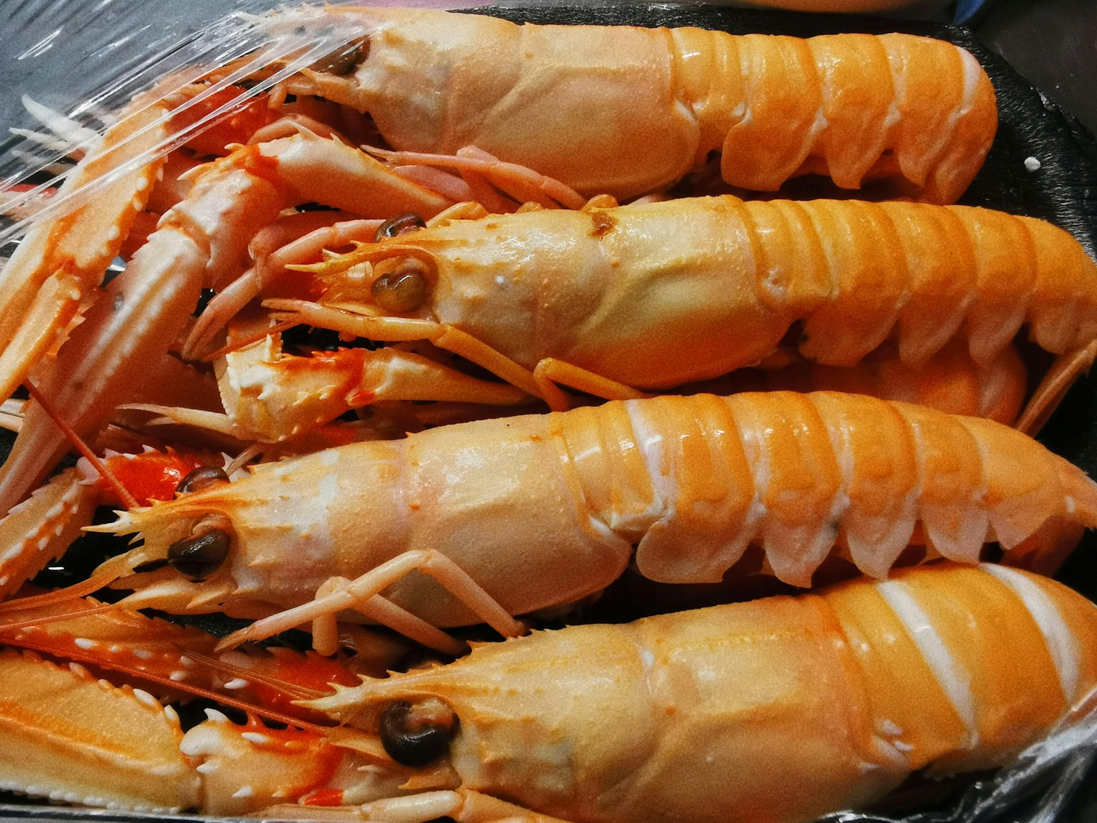 Udang oranye segar disusun di atas piring