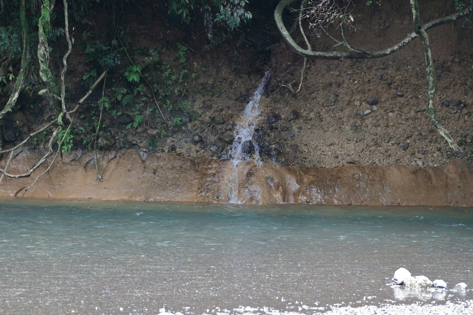 A small waterfall cascading into a lush green river scene
