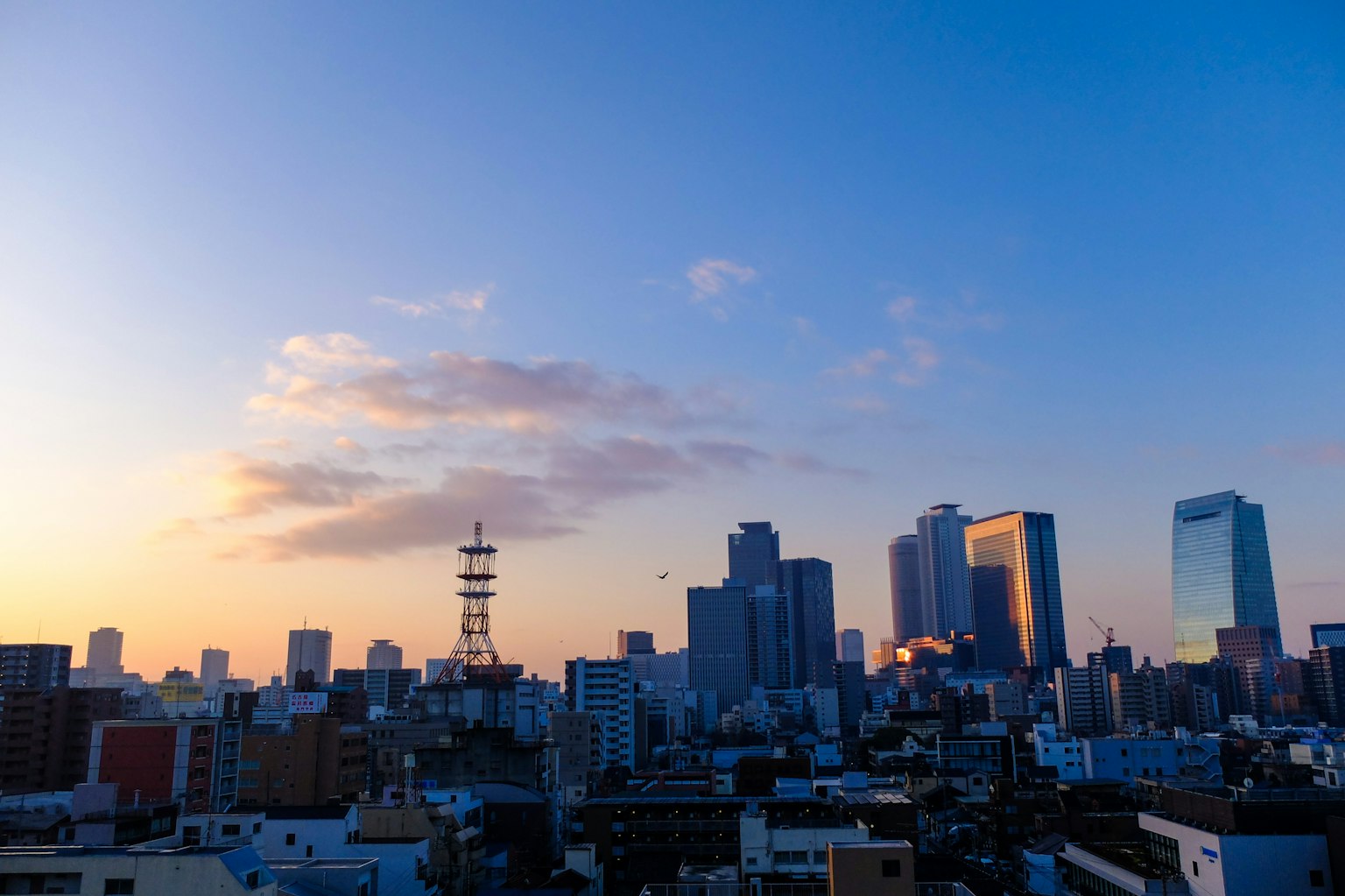 Skyline di Tokyo al tramonto con grattacieli e Tokyo Tower