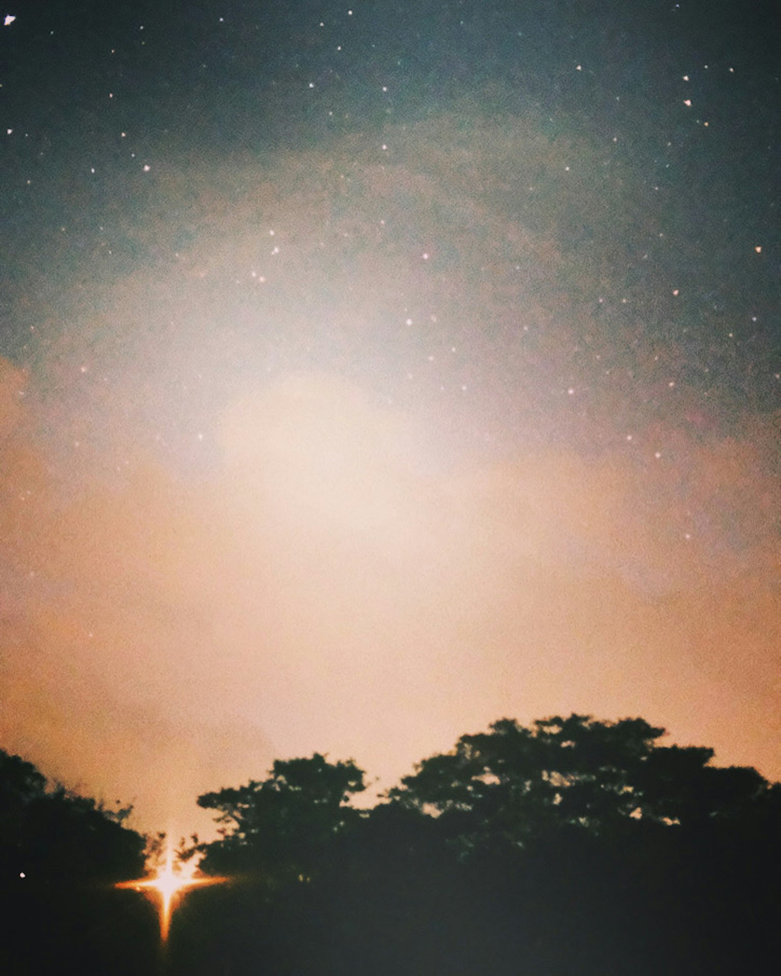 夜景，樹木輪廓被星星和雲彩環繞