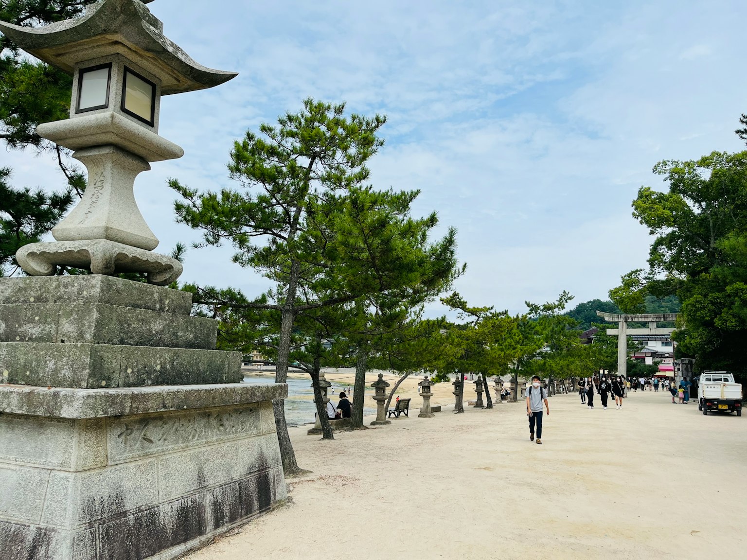 海灘上石燈籠和綠松樹的風景