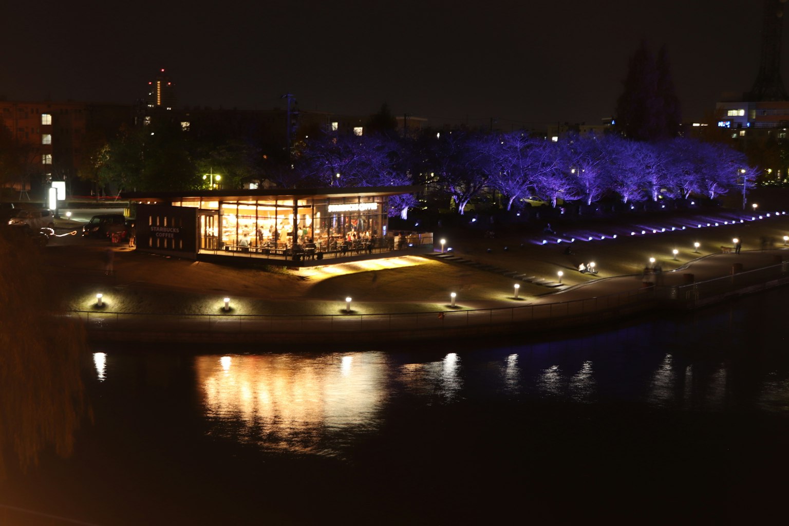 Bright riverside café at night with blue-lit trees