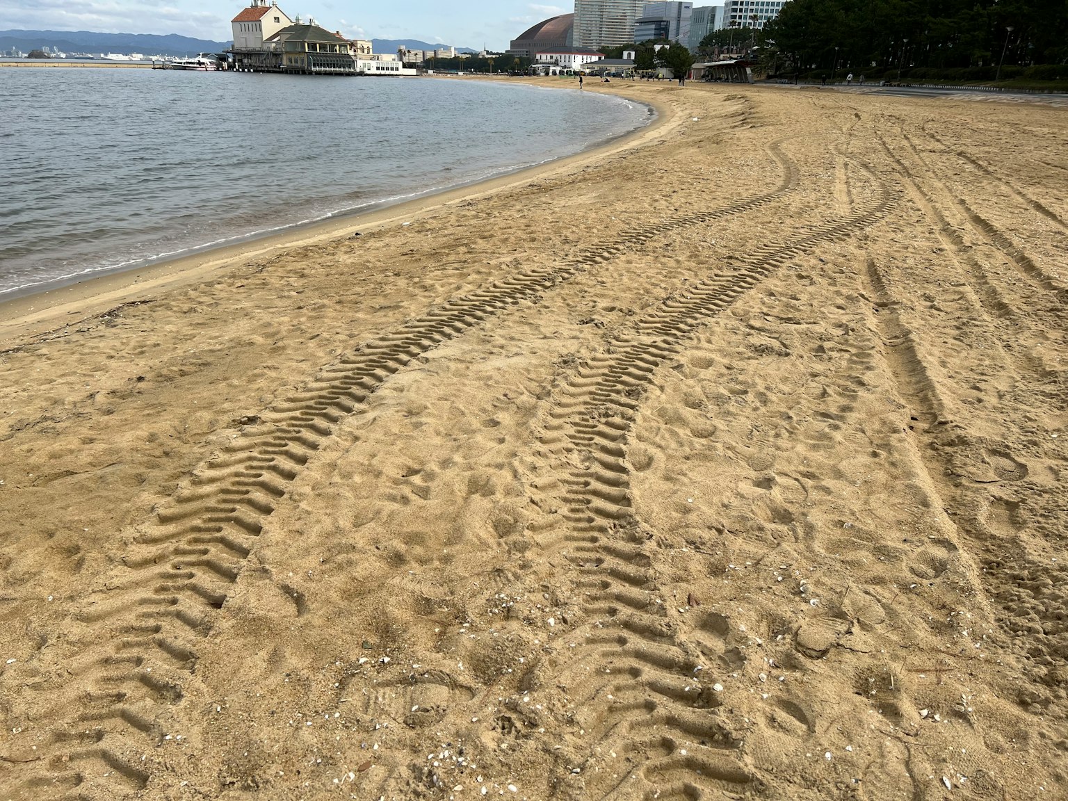 Sandy beach with tire tracks along the shoreline