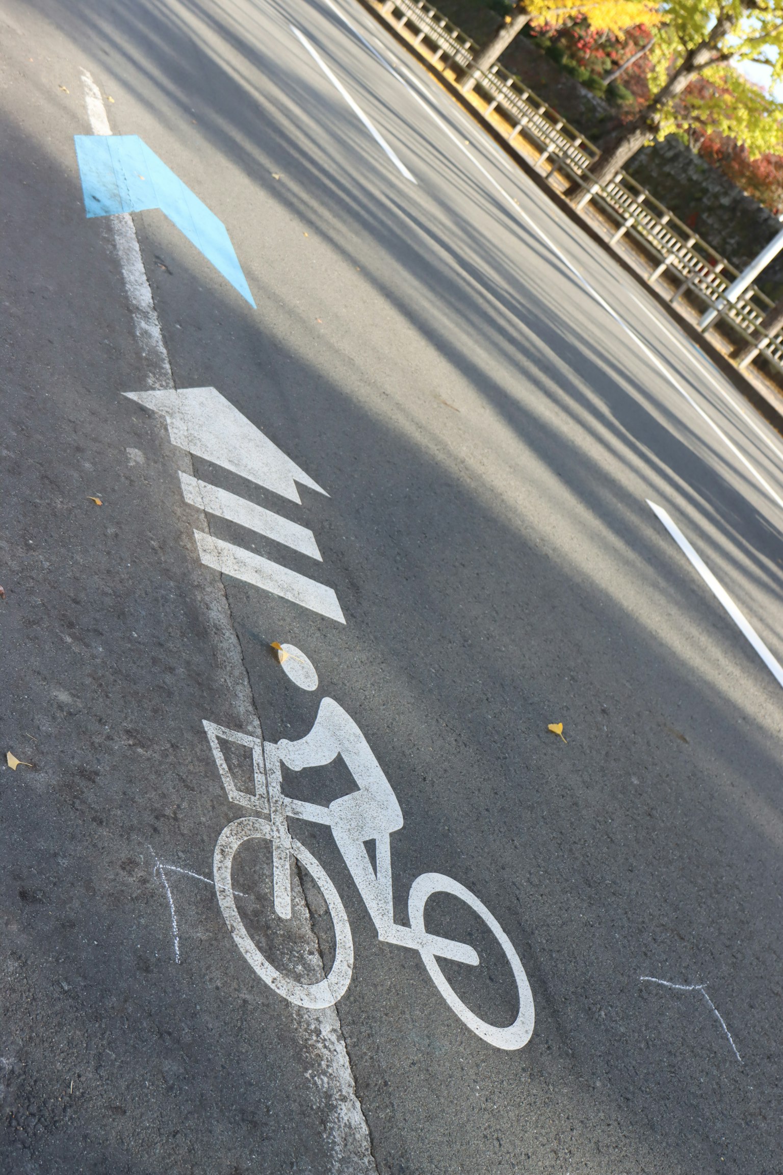 Road with a blue arrow and bicycle symbol painted on the pavement