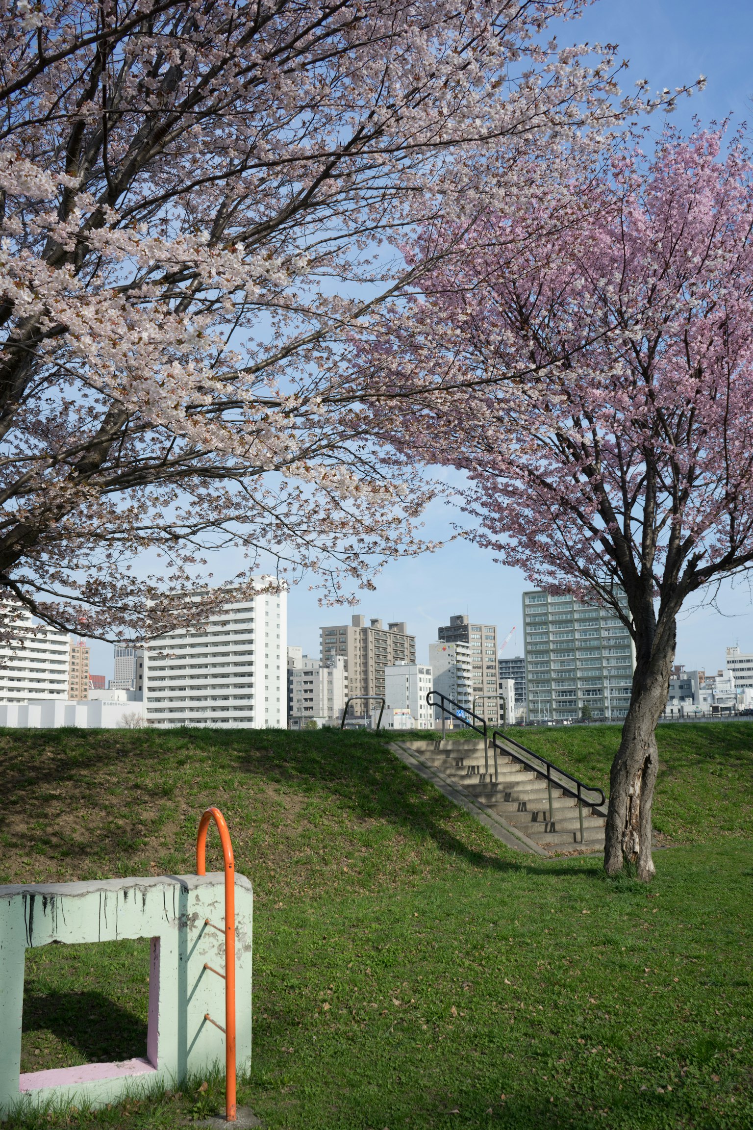 Una escena de parque con cerezos y el horizonte de la ciudad