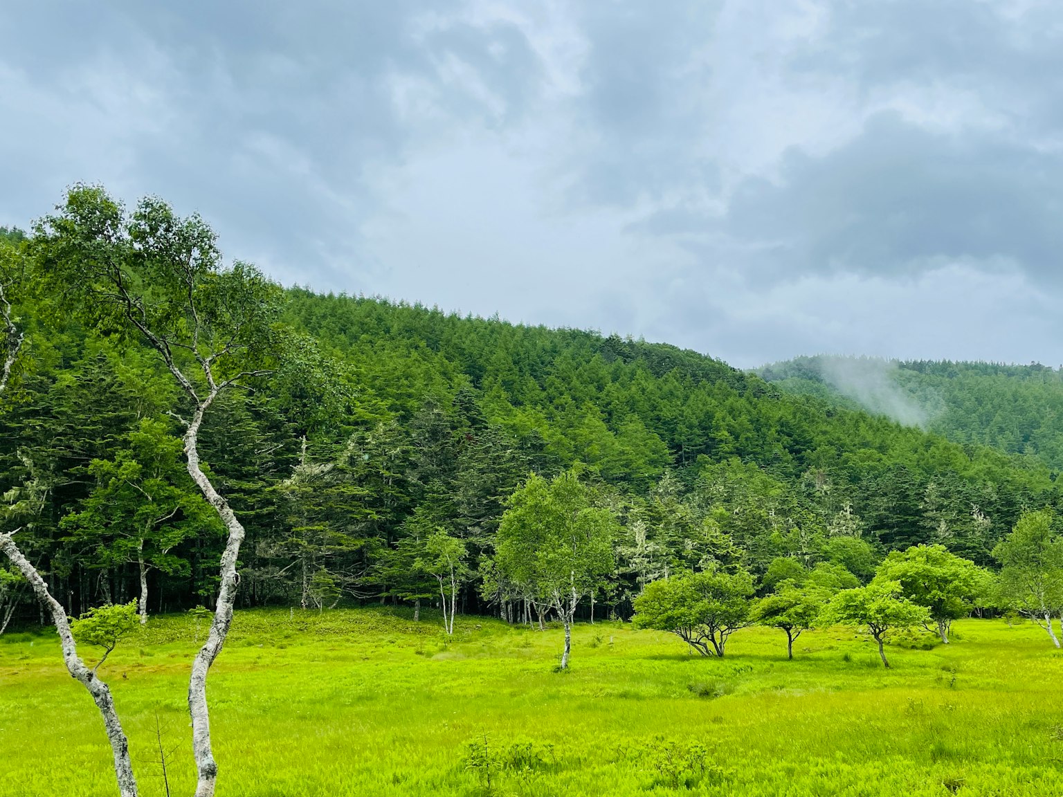 綠色草地環繞的風景 多雲的天空和霧氣瀰漫的山丘