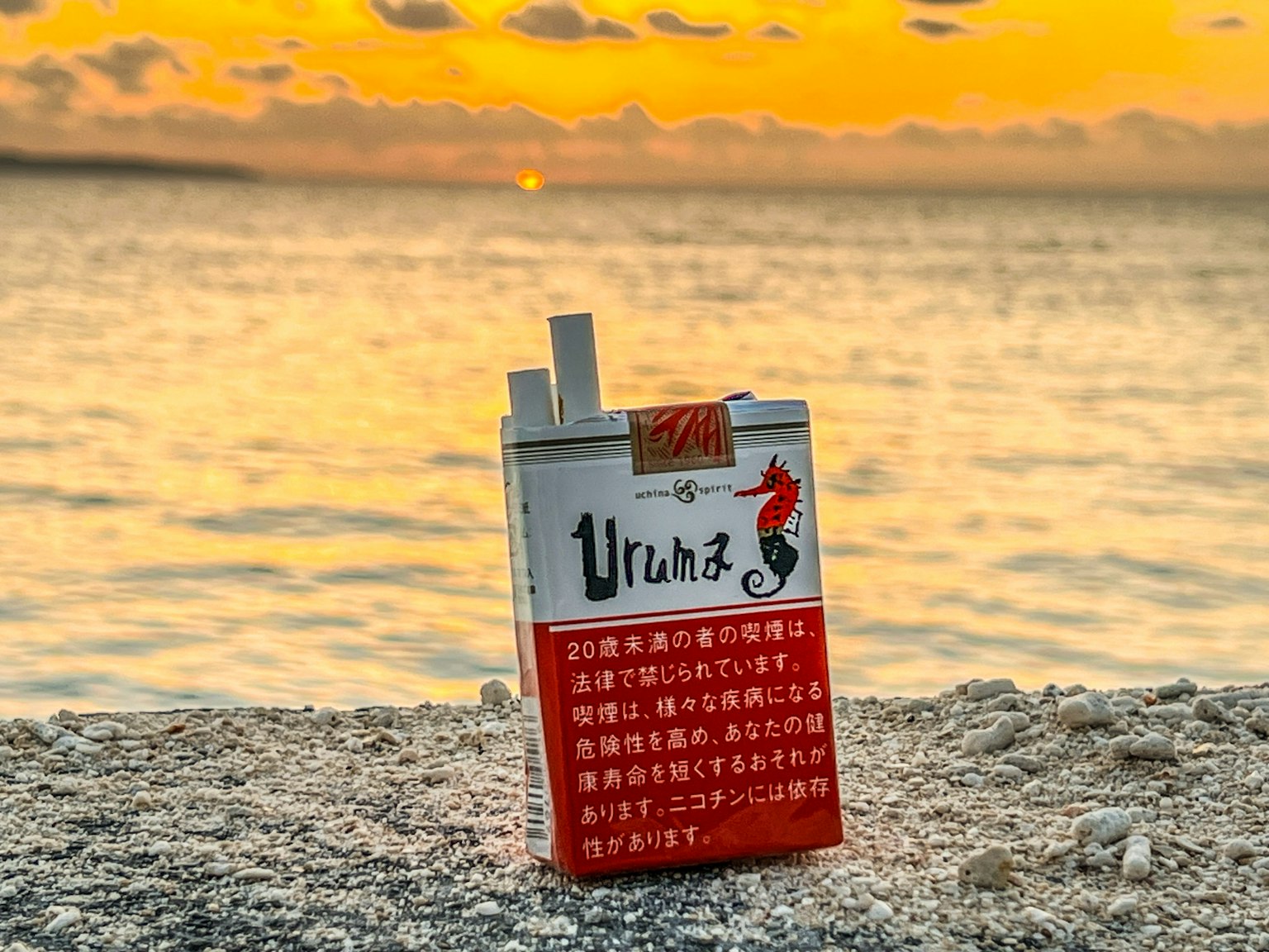 海岸上放置的香烟包装，背景是日落