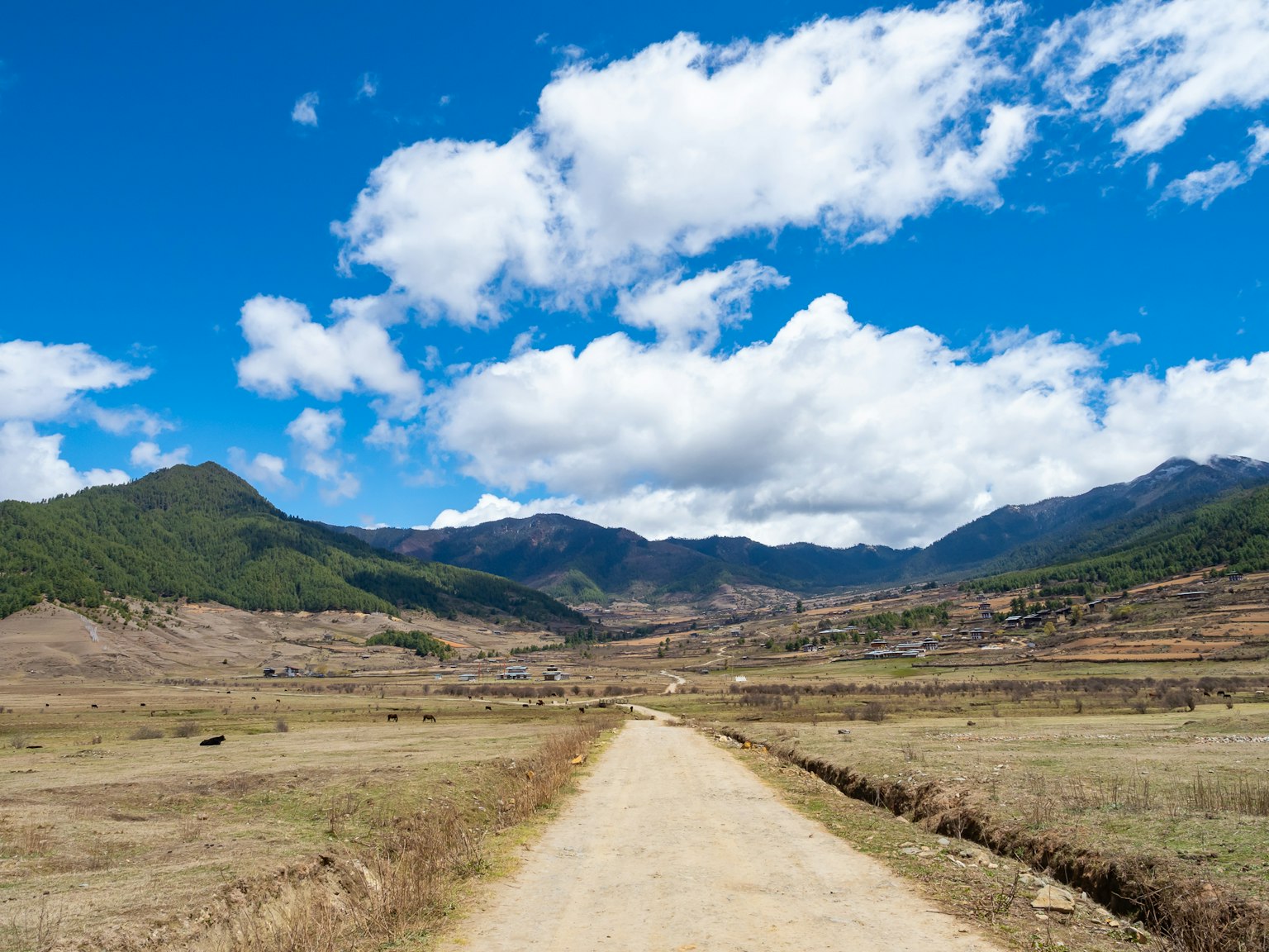 一條在藍天和白雲下穿過山脈的土路