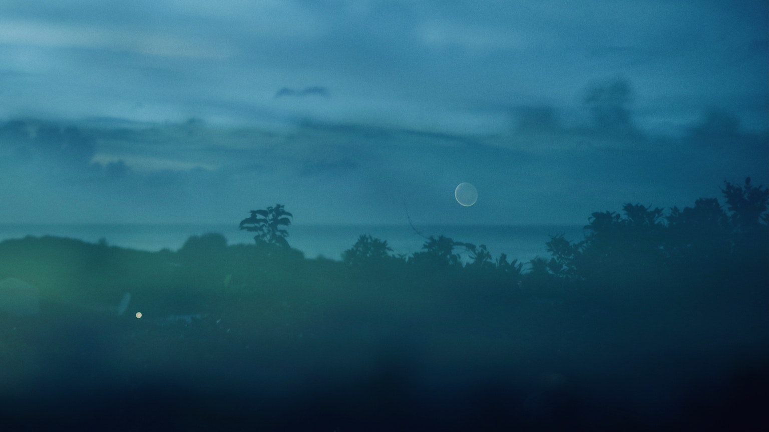 Pemandangan berkabut dengan siluet pohon dan bulan yang terlihat