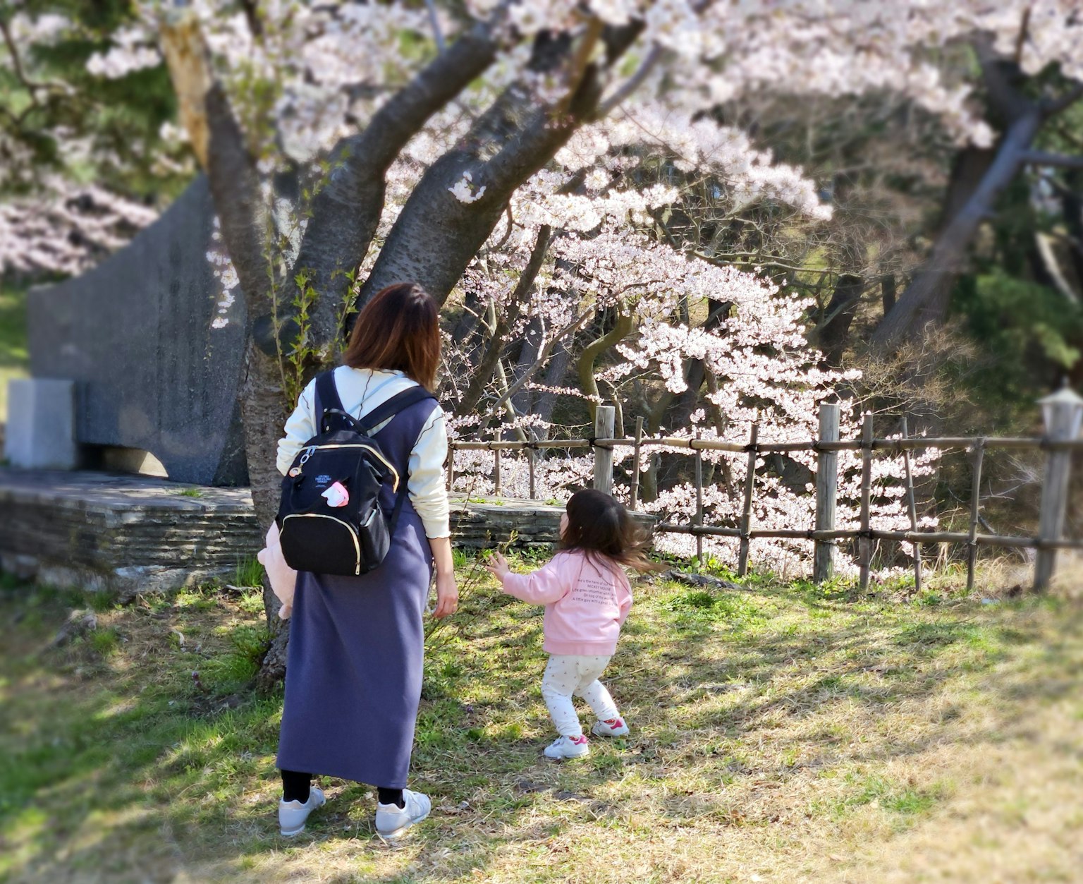 Una madre e un bambino che passeggiano sotto alberi di ciliegio in fiore
