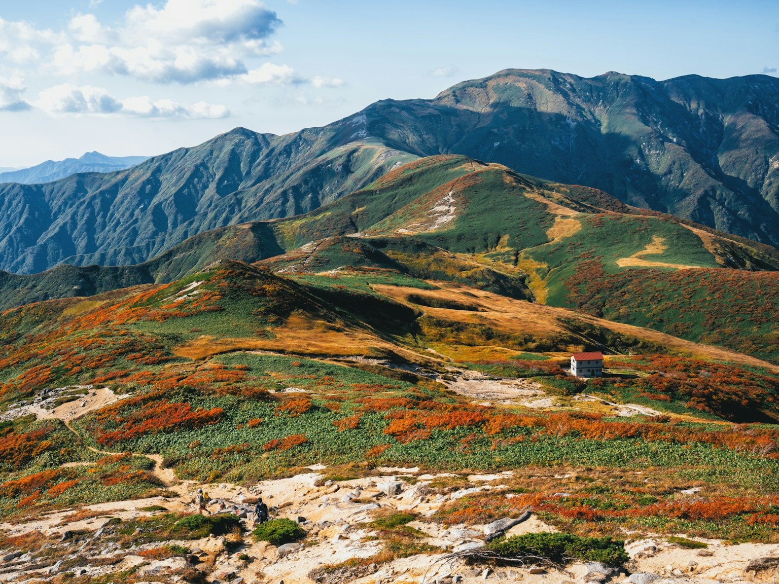 Vibrant landscape with colorful fields and mountains