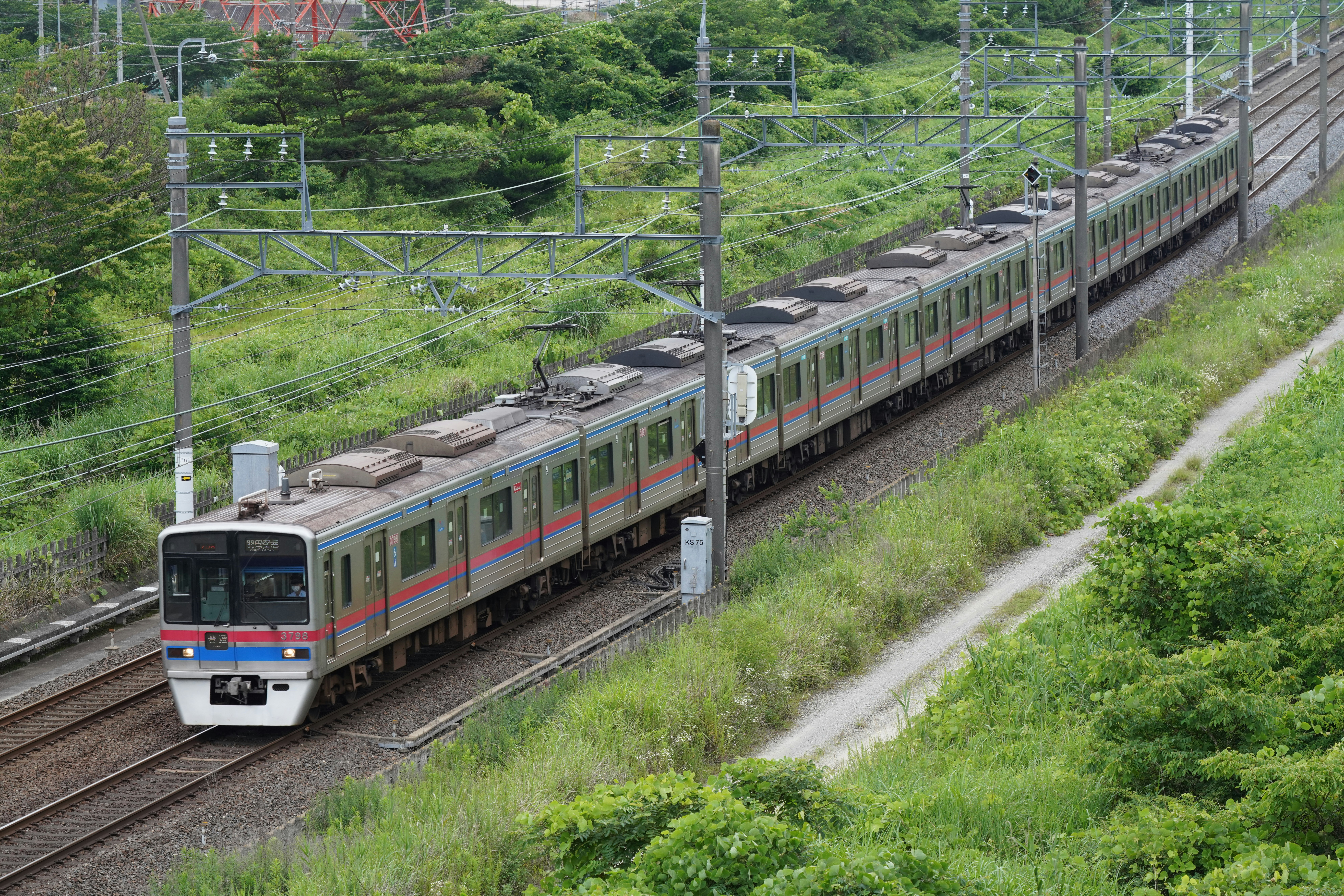 火車穿過郁郁蔥蔥的風景