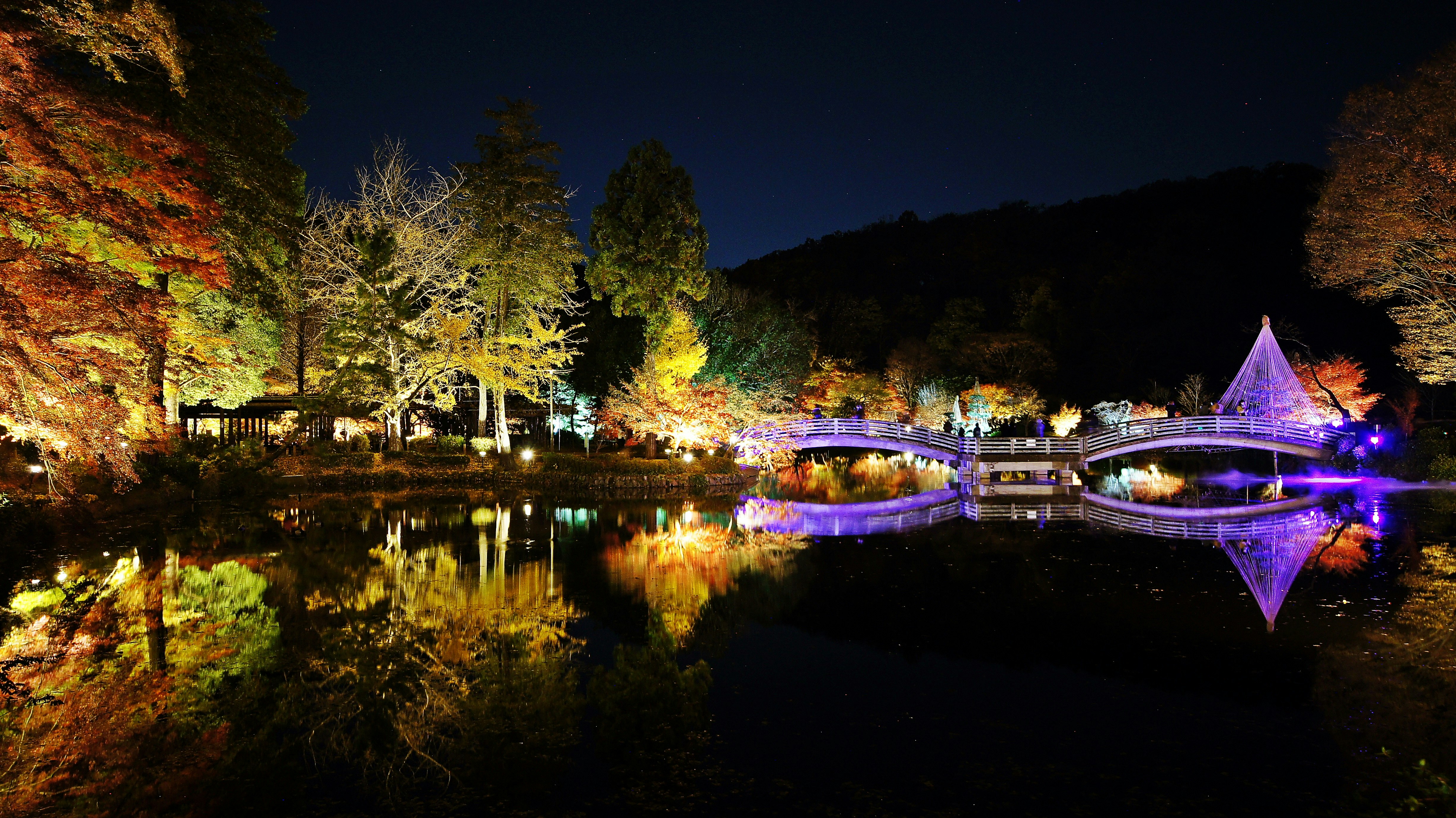 紅葉のライトアップと水鏡のある池のシンメトリーな夜景