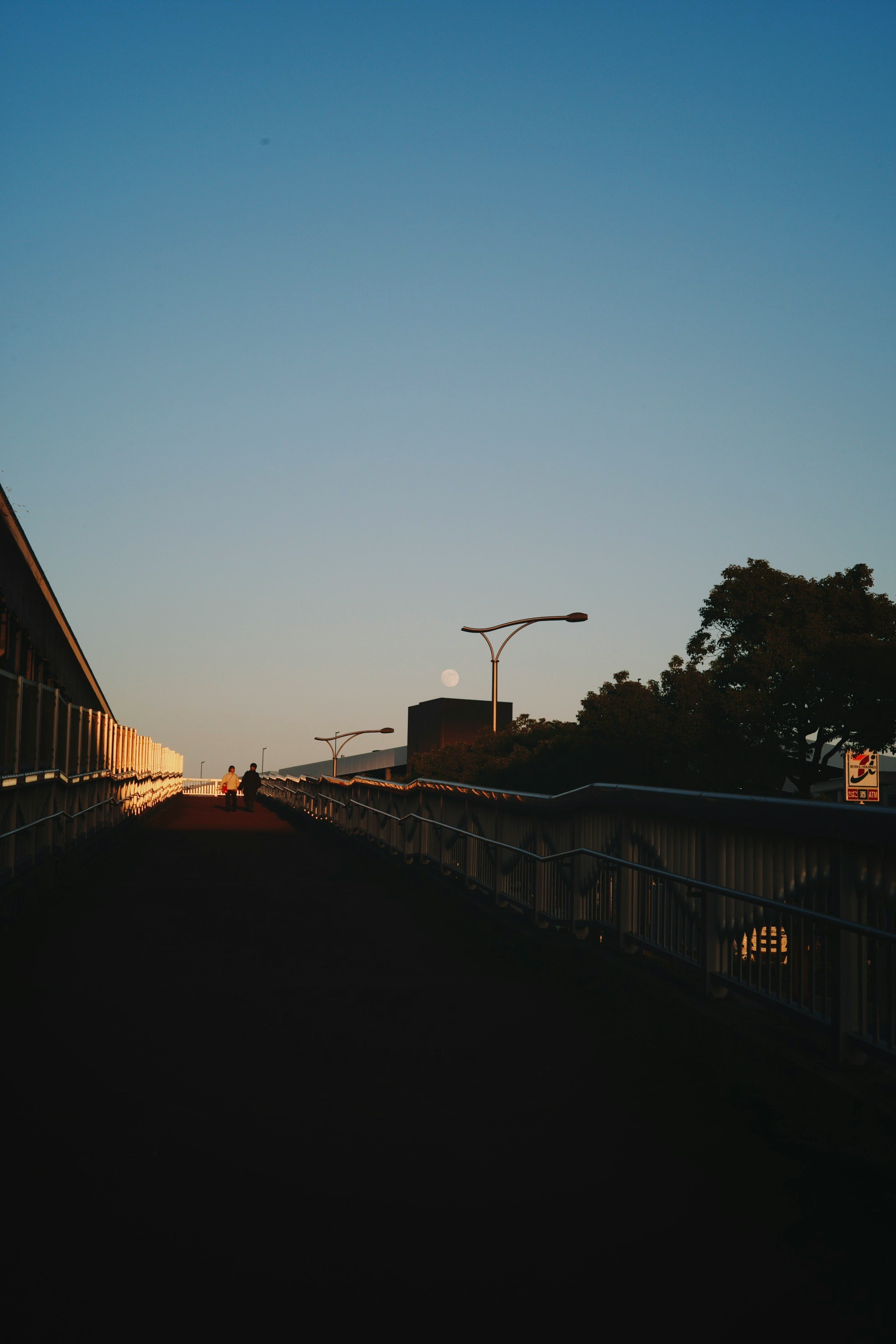 dusk seaside breakwater path with streetlights