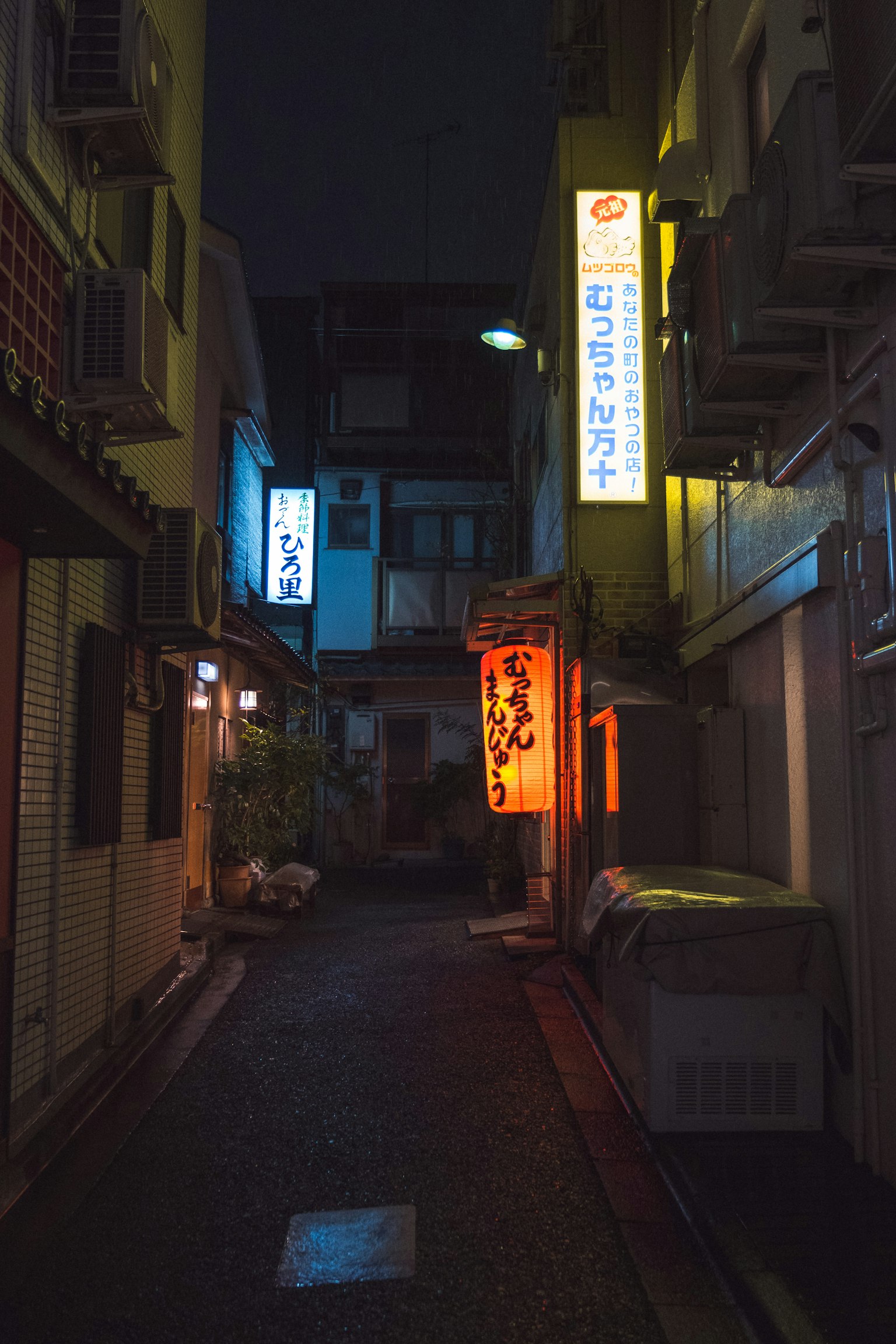Narrow alley with illuminated signs and lanterns at night
