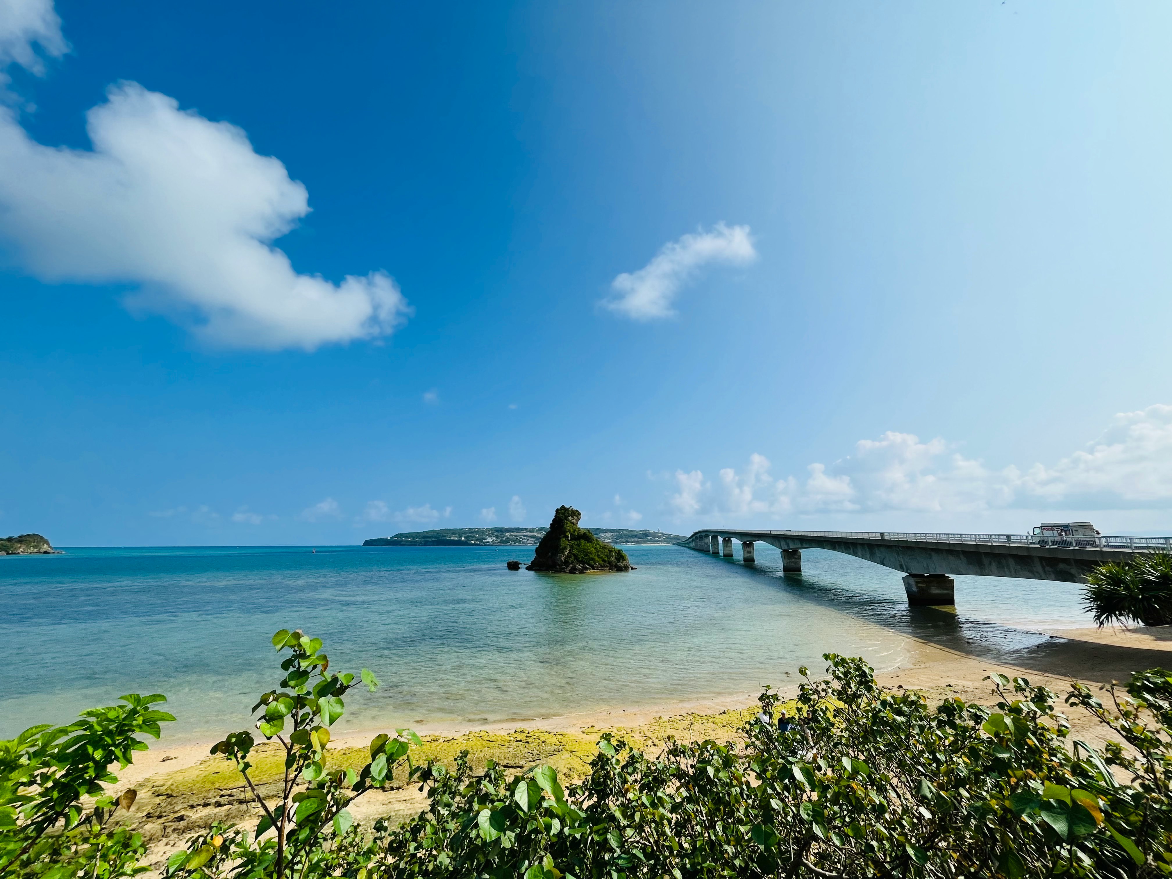 砂浜と海、桟橋が伸びる海辺の風景