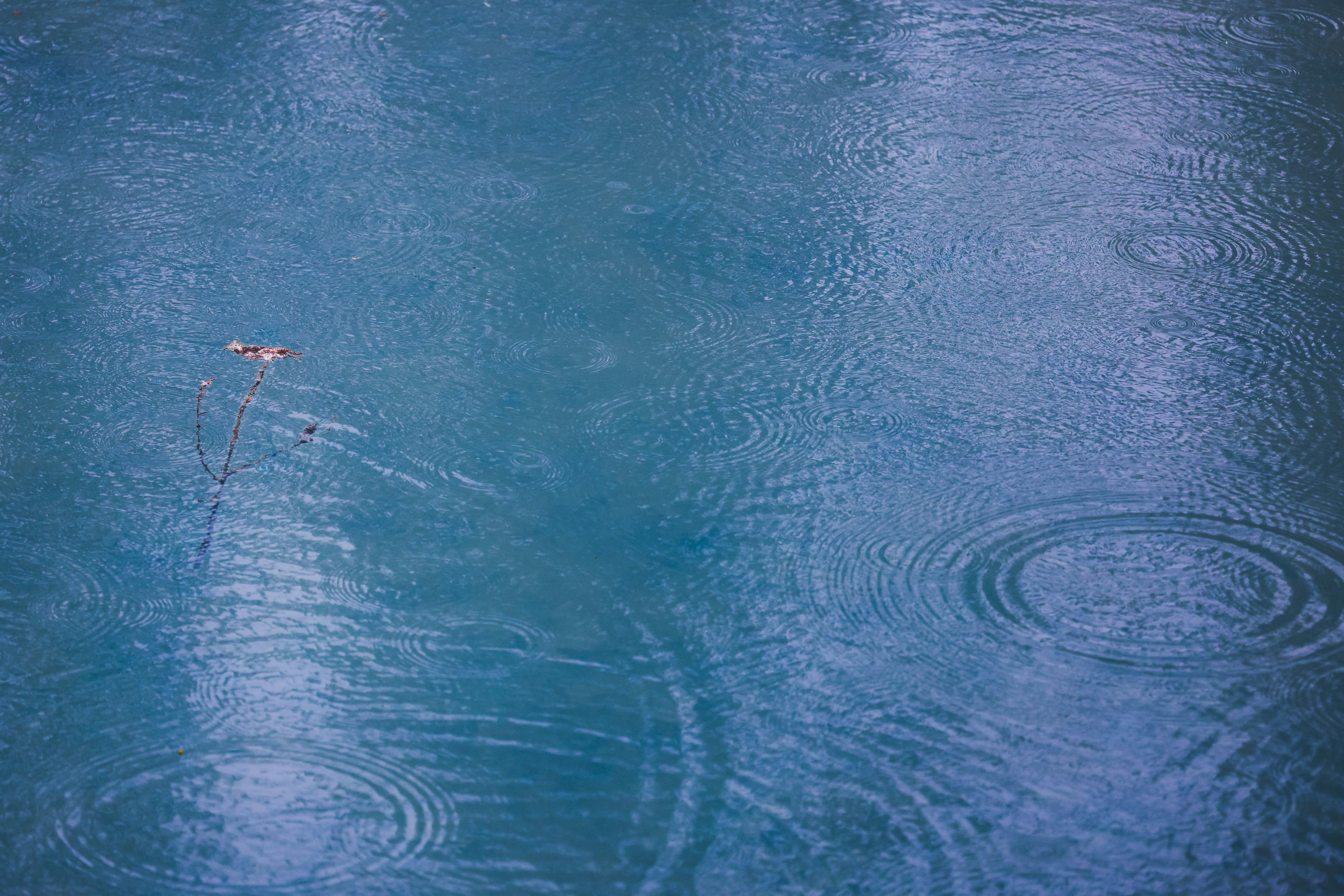 雨上がりの青い水面に残る波紋と水滴