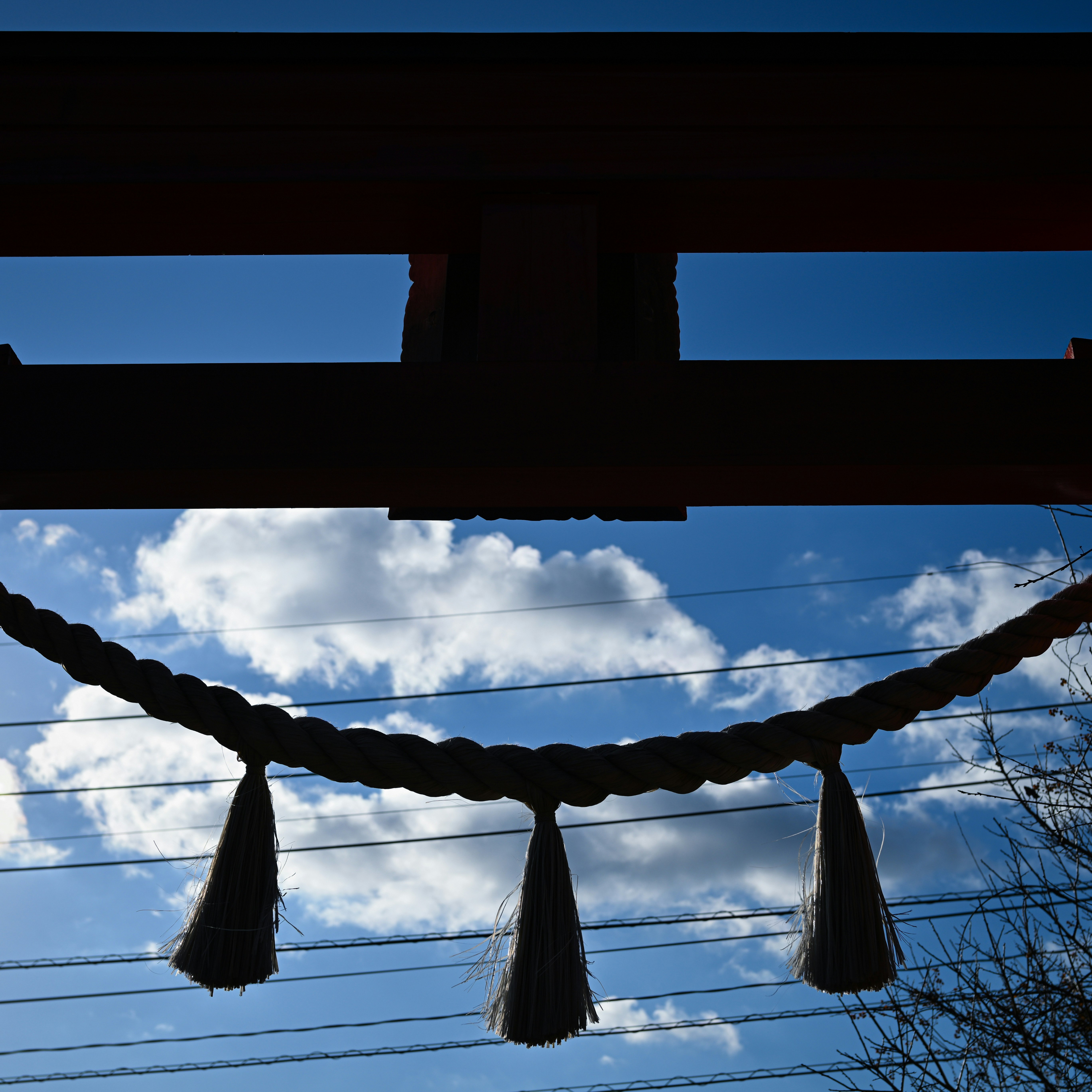 鳥居のある青空の下、電線としめ縄が張られた景色