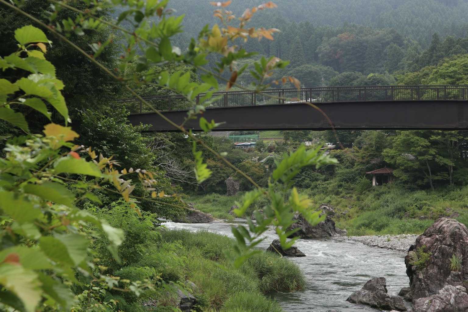 Vista escénica de un puente negro sobre un río rodeado de vegetación exuberante