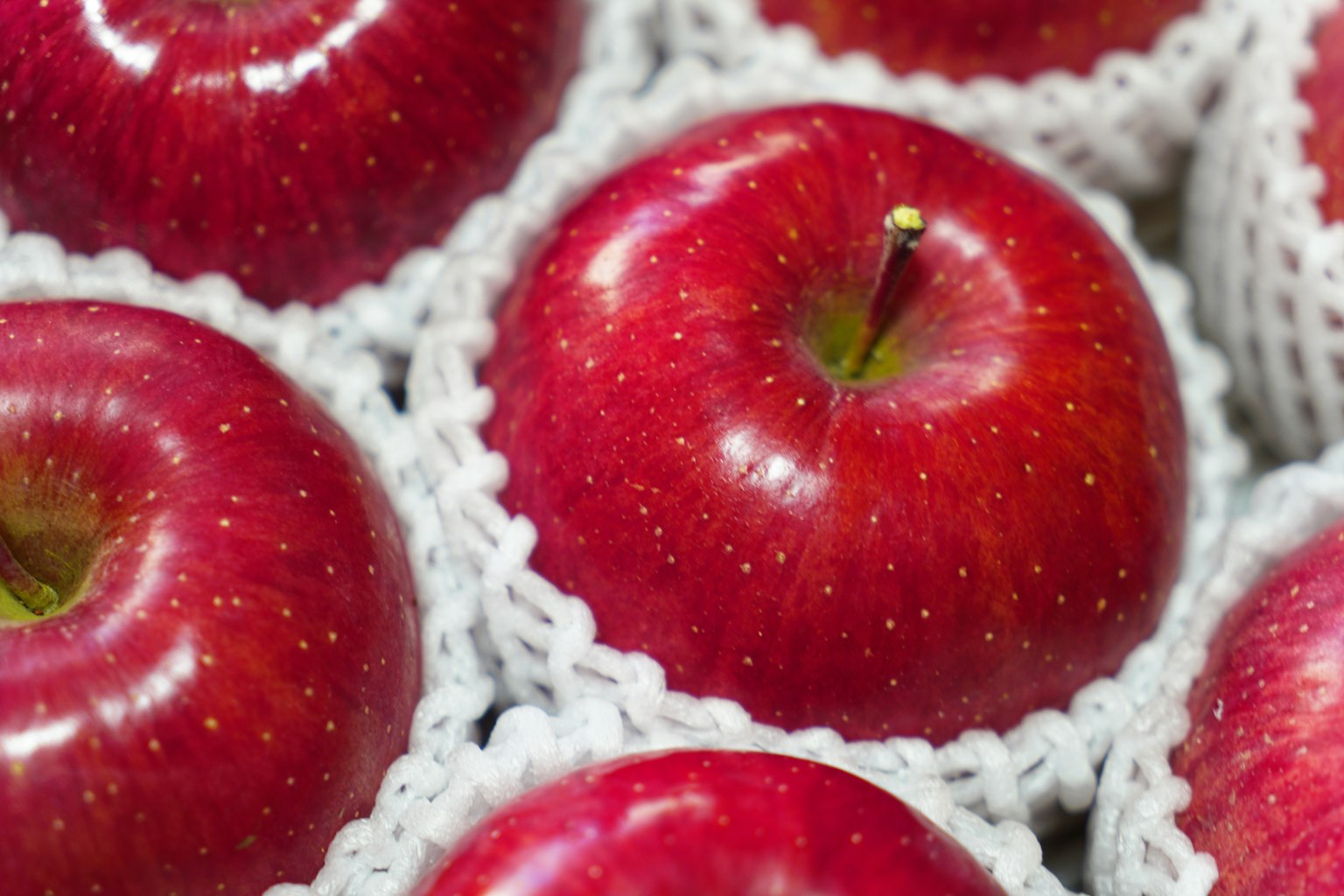 Red apples wrapped in white mesh netting