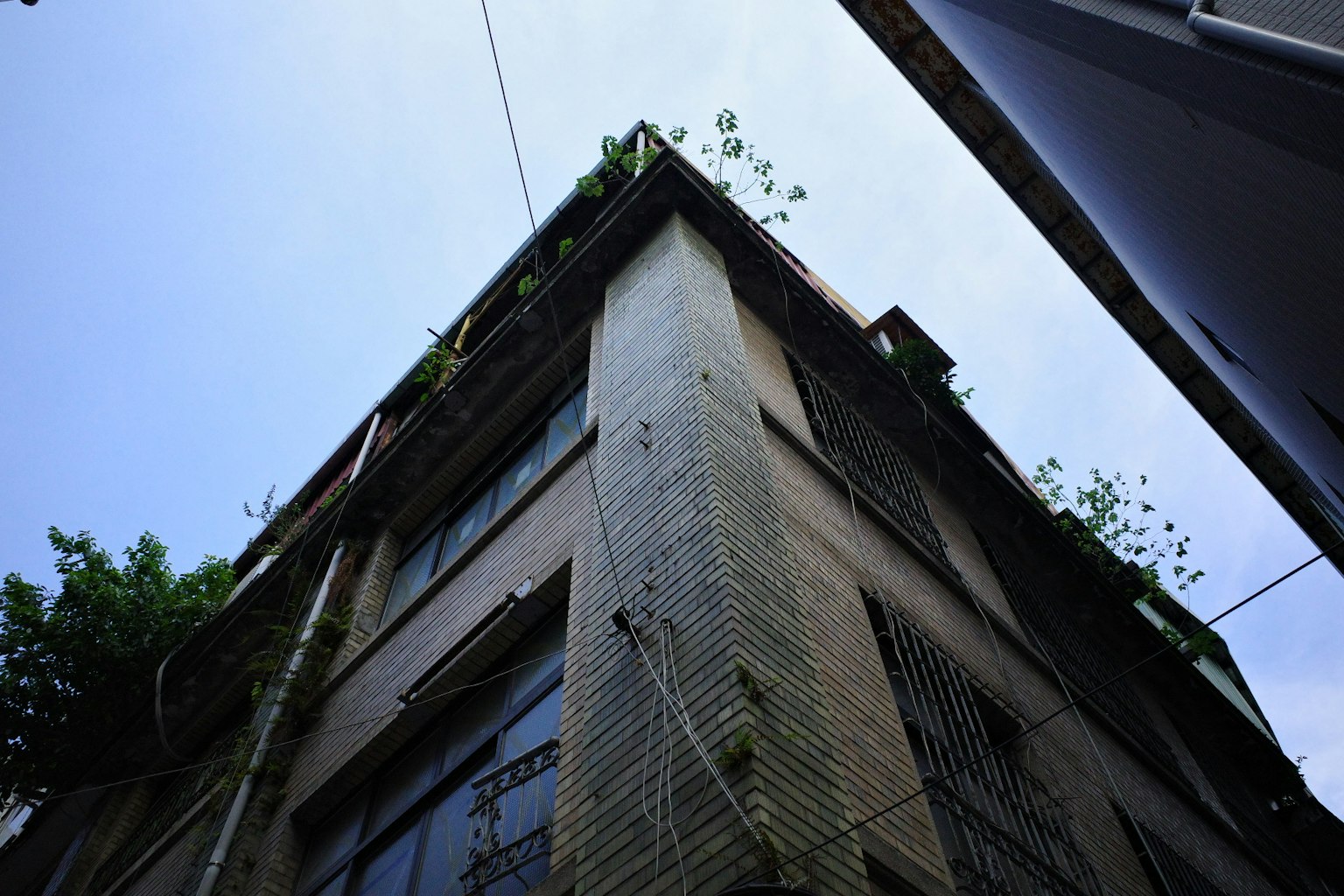 空を背景にした古い建物の角と緑の植物