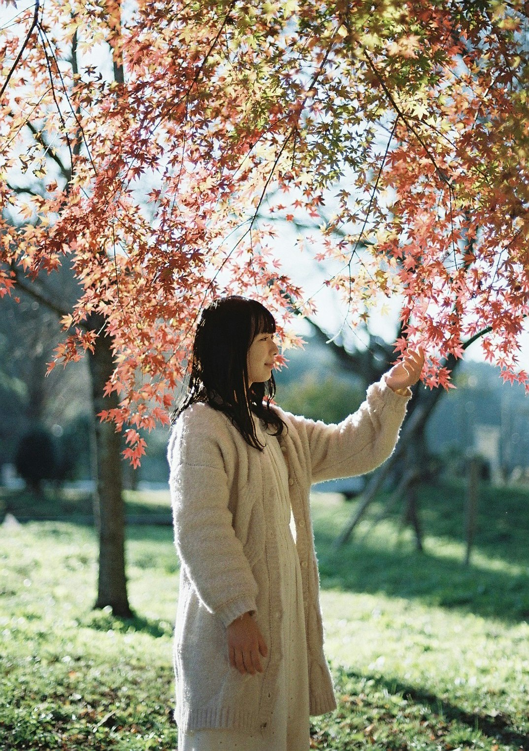 公園で桜の花びらの木の下に立つ女性