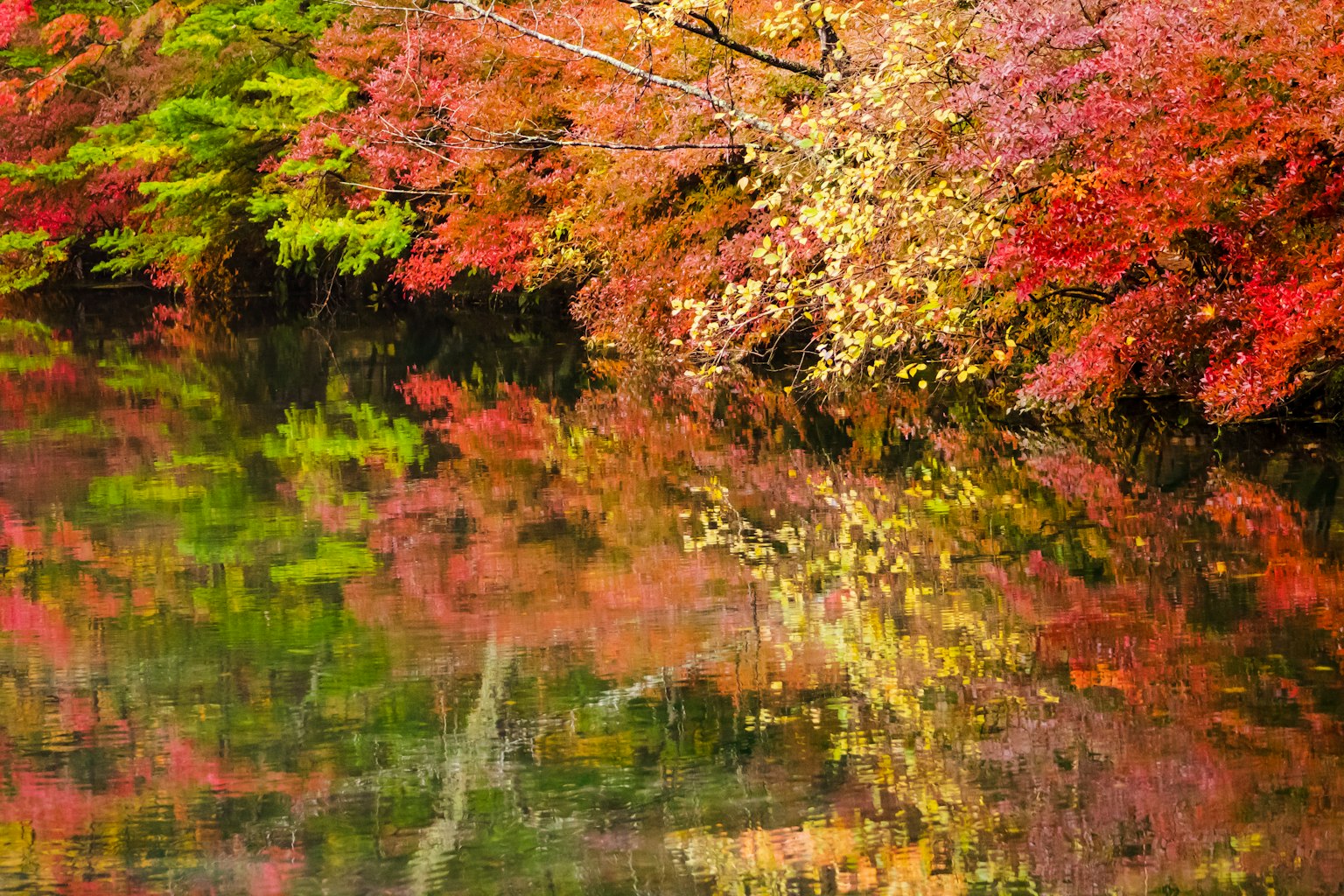 Vibrant autumn foliage reflected in a tranquil pond