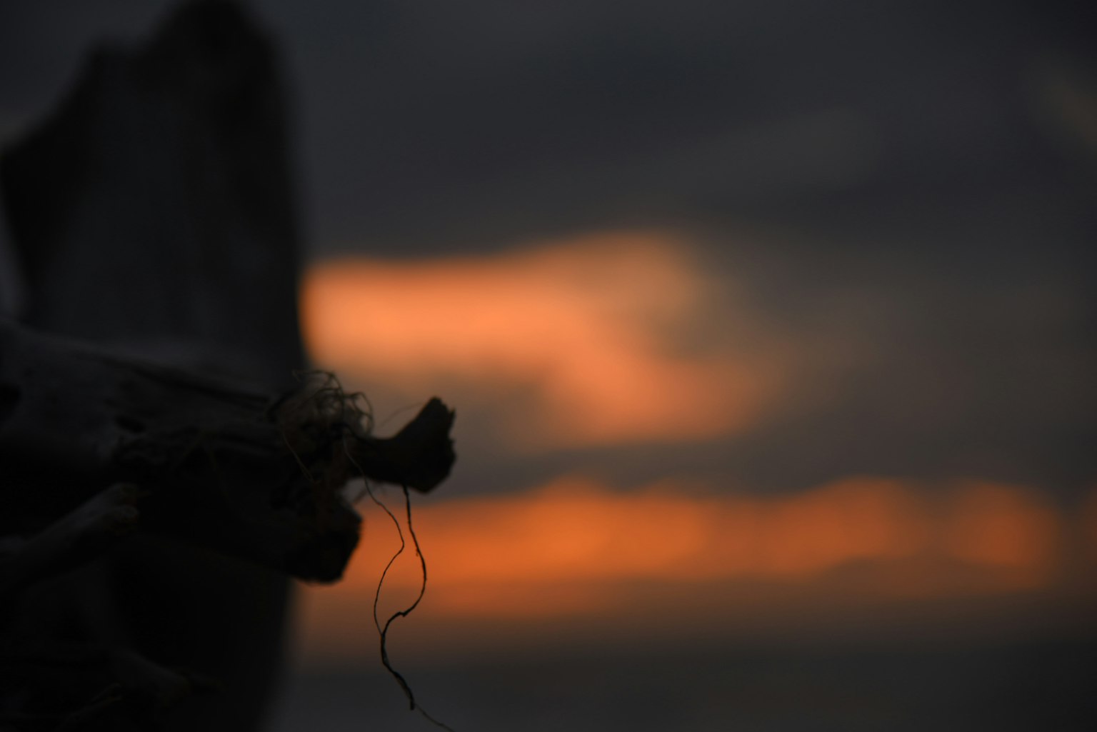 夕阳背景下物体的轮廓