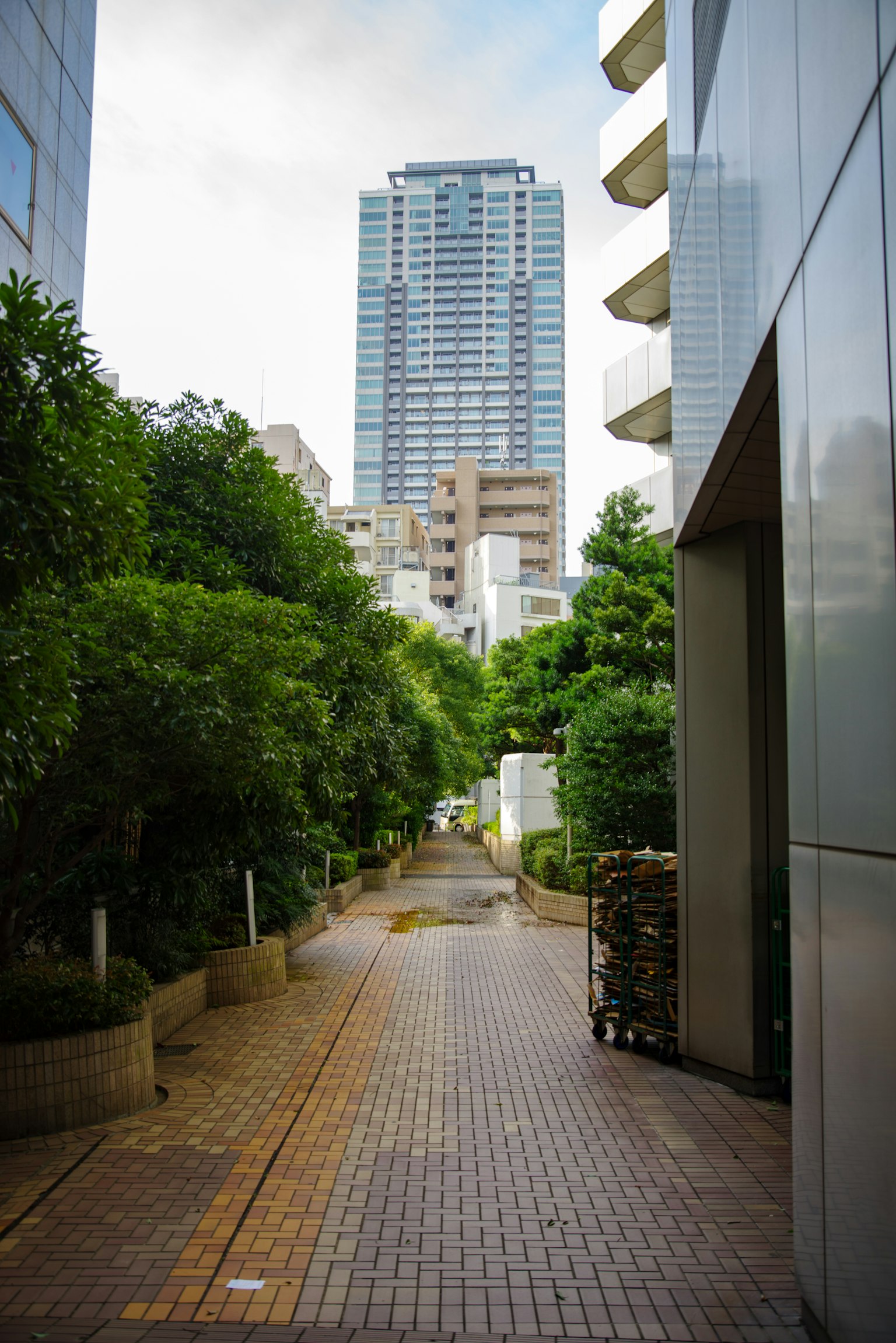 A pathway lined with greenery leading to a tall building