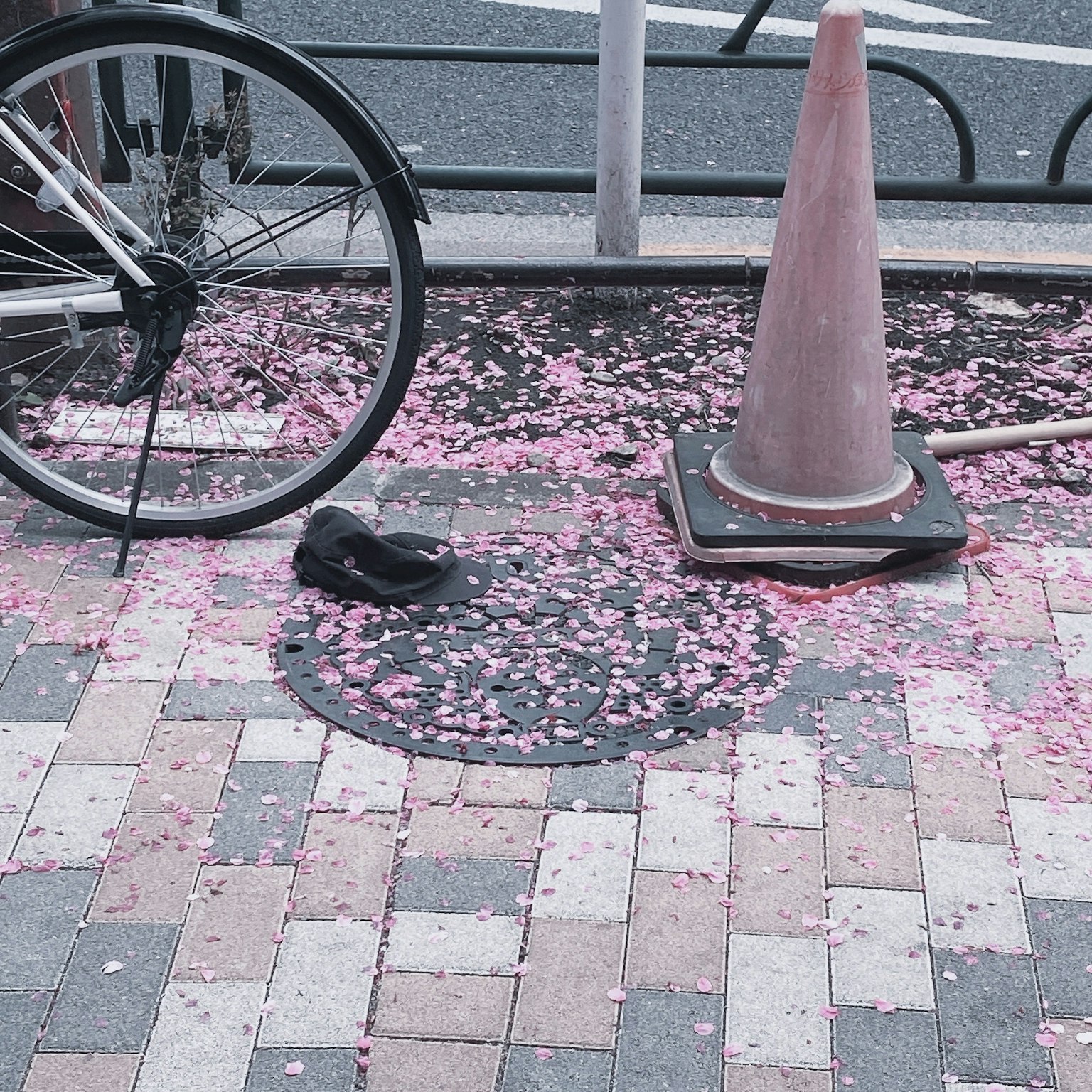 Paved street with pink cherry blossom petals near a bicycle and a shoe
