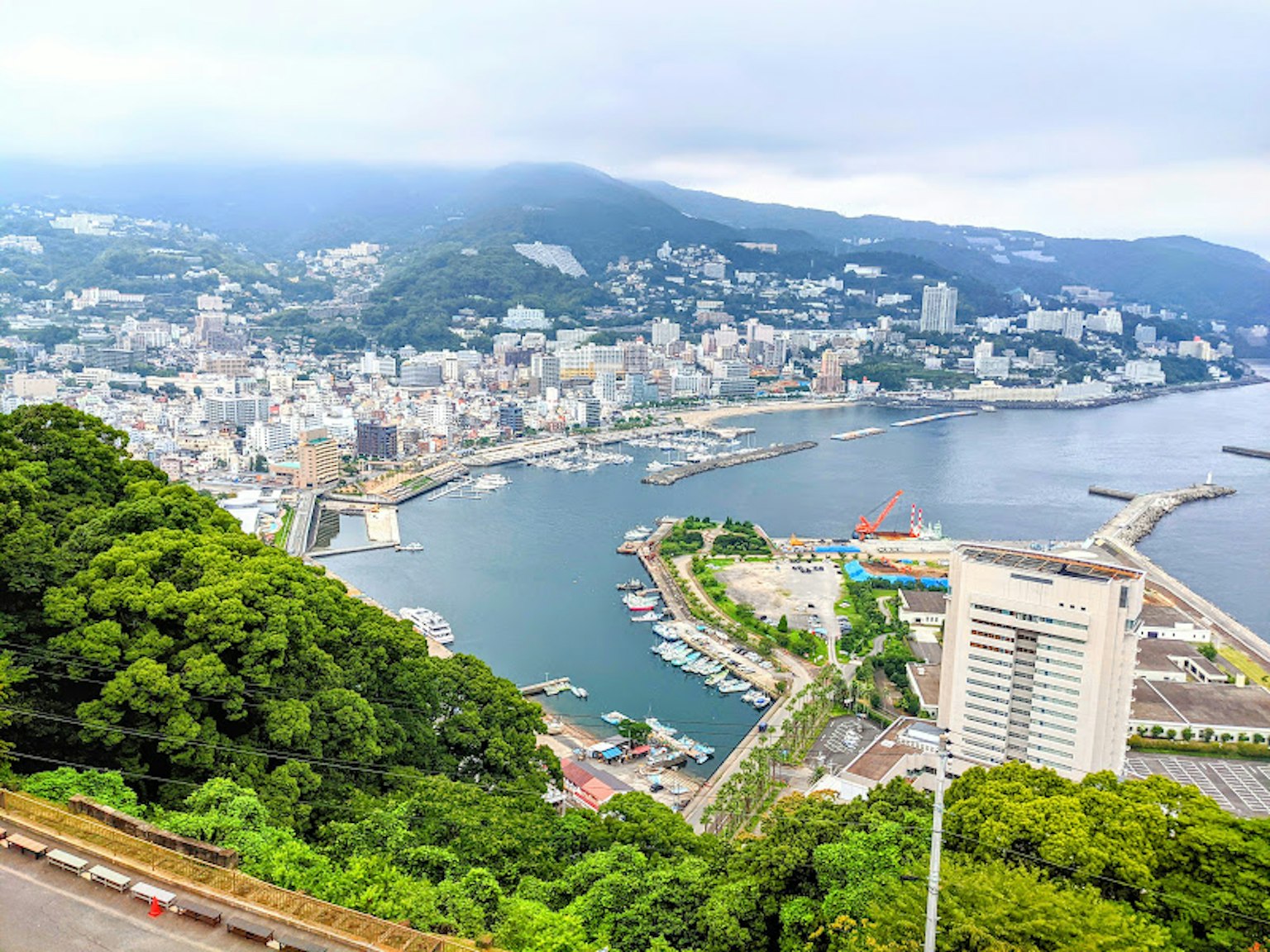 港口和城市的美丽景观 绿意与水的对比