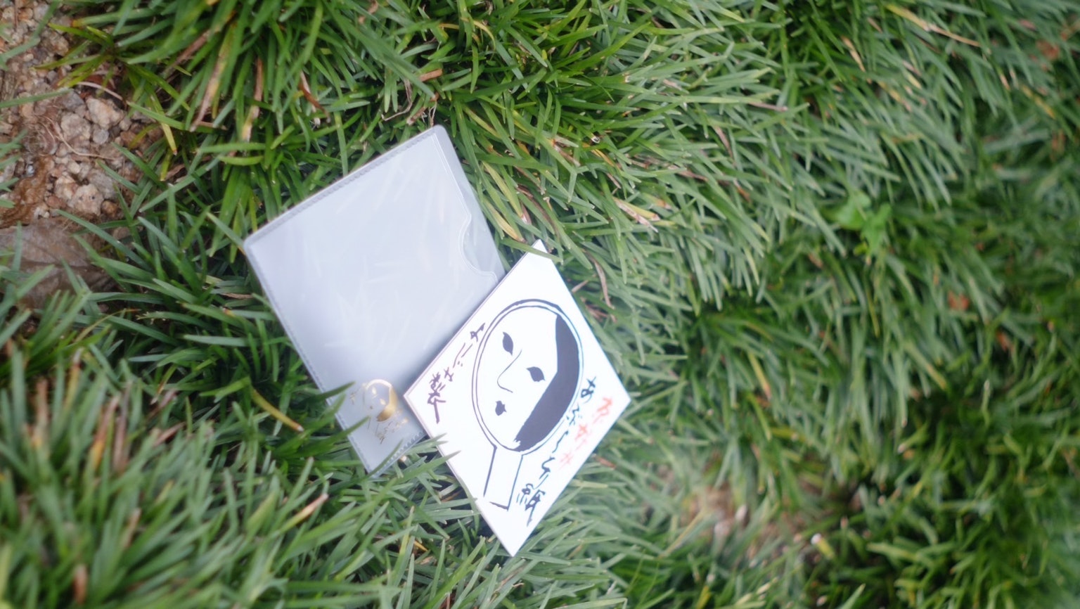 放置在綠色草地上的白色信封和插圖卡片