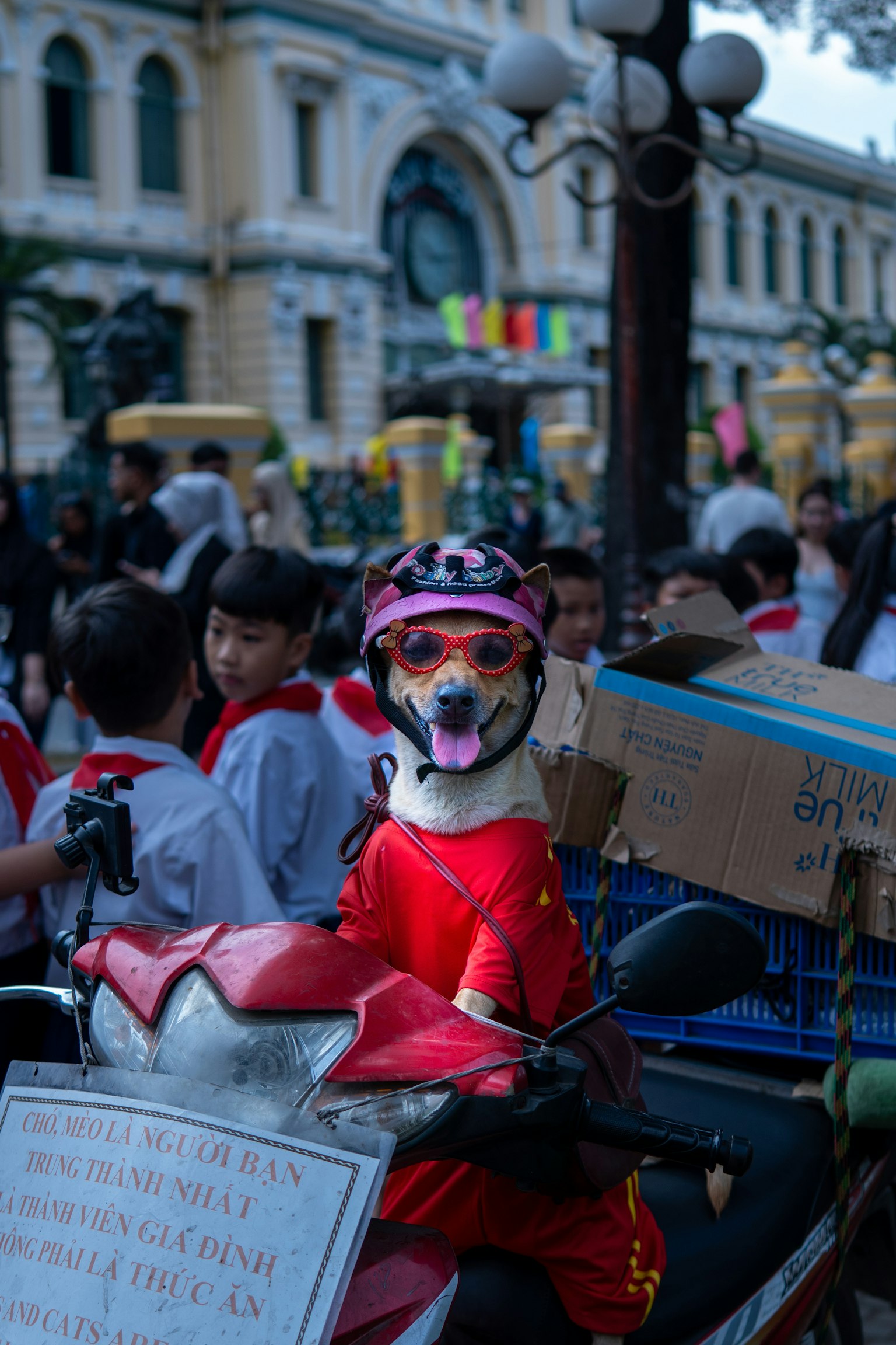 photo-5Ugv1XbmQ6UNl4Vk4qU3-image