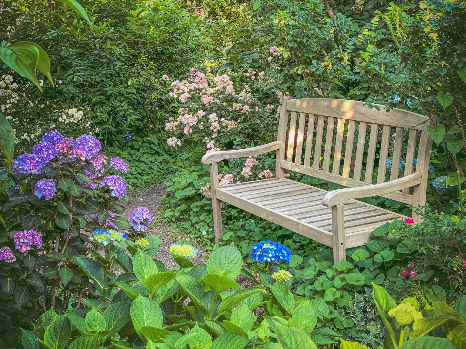 Wooden bench in a lush garden surrounded by colorful flowers