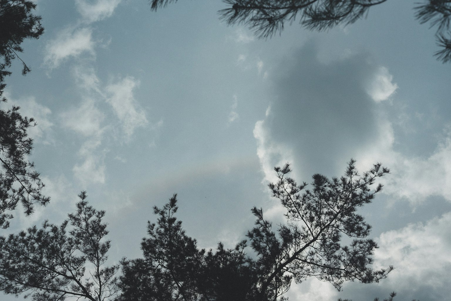 Una vista del cielo con nuvole e alberi