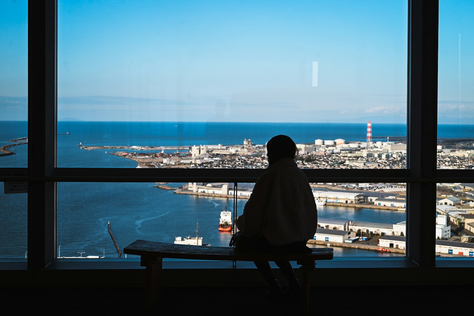 Silhouette of a person sitting by a window overlooking the ocean and city