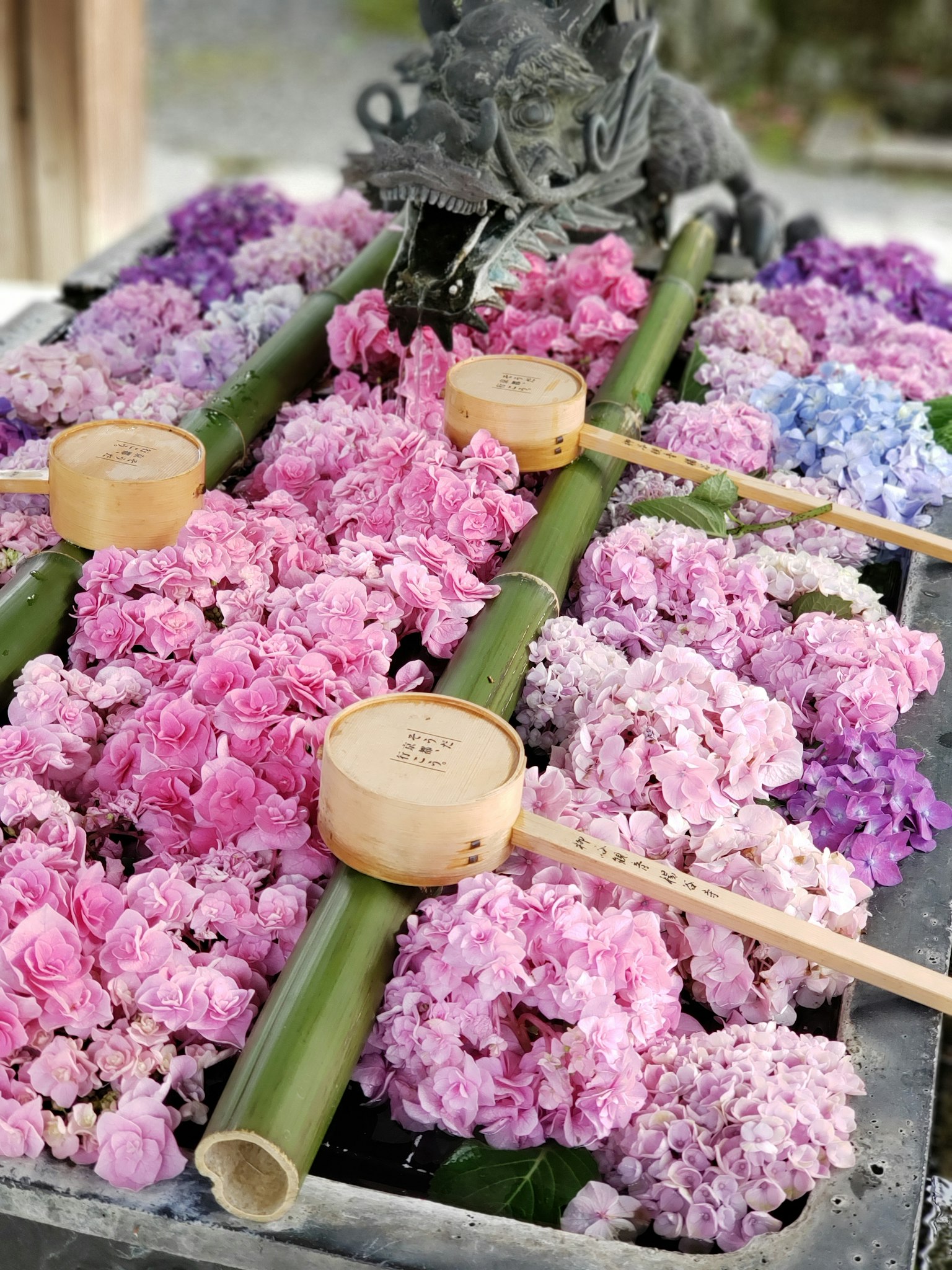 一個裝滿五彩繽紛花朵和竹水勺的盆