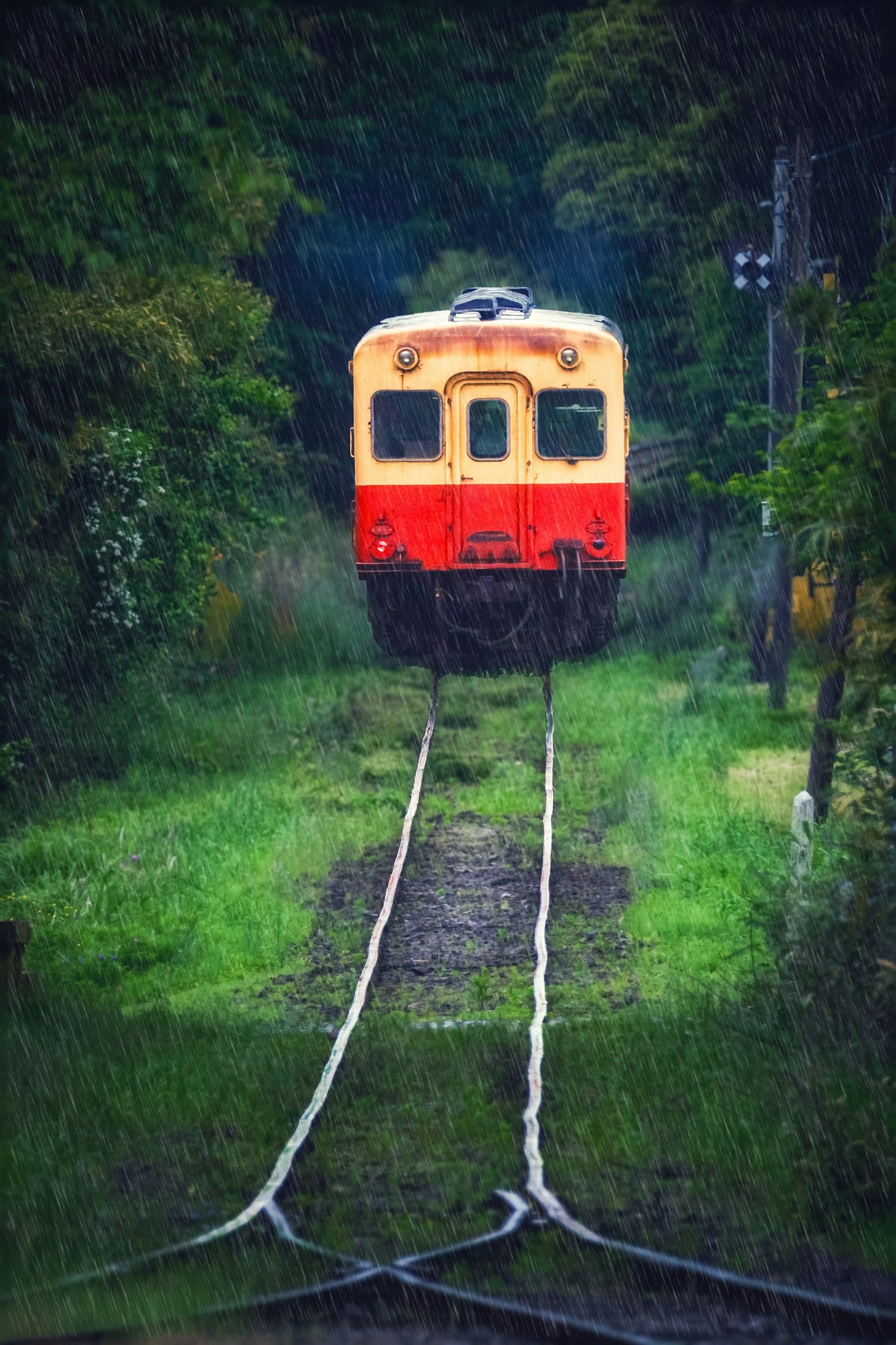 A red and yellow train surrounded by greenery at the end of the tracks