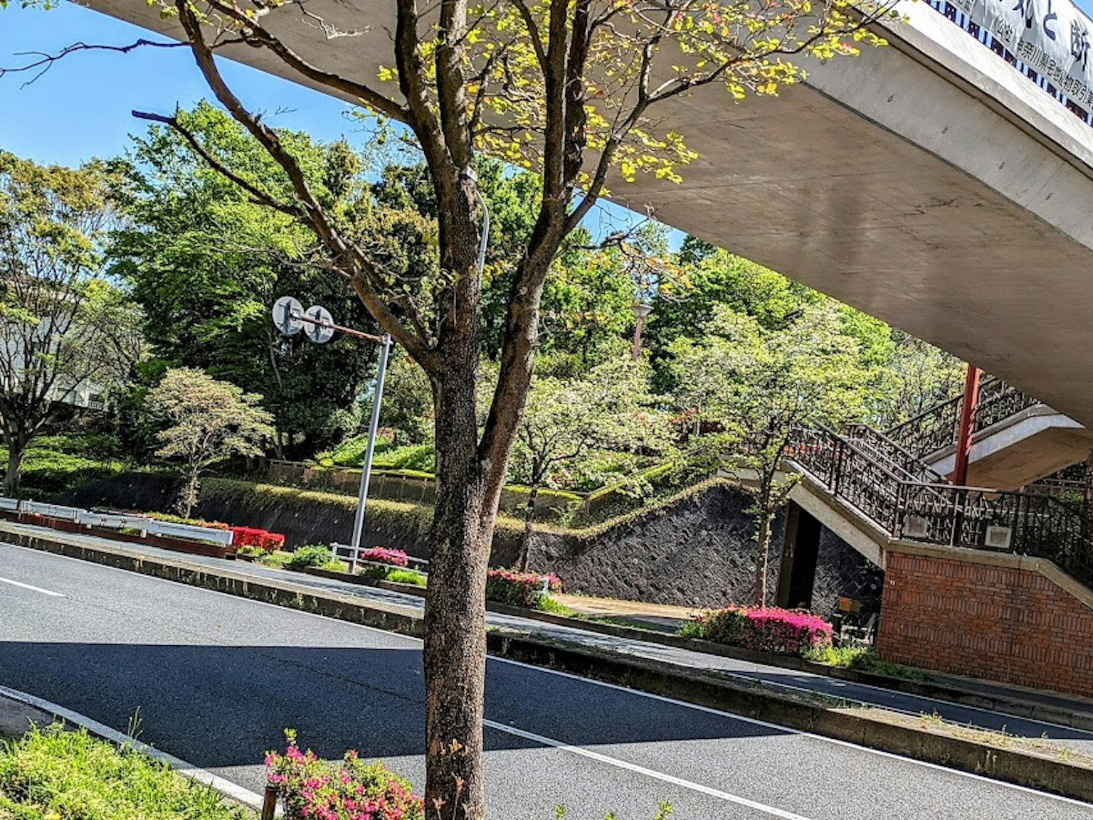 맑은 파란 하늘 아래 도로와 나무의 경치와 위에 있는 다리