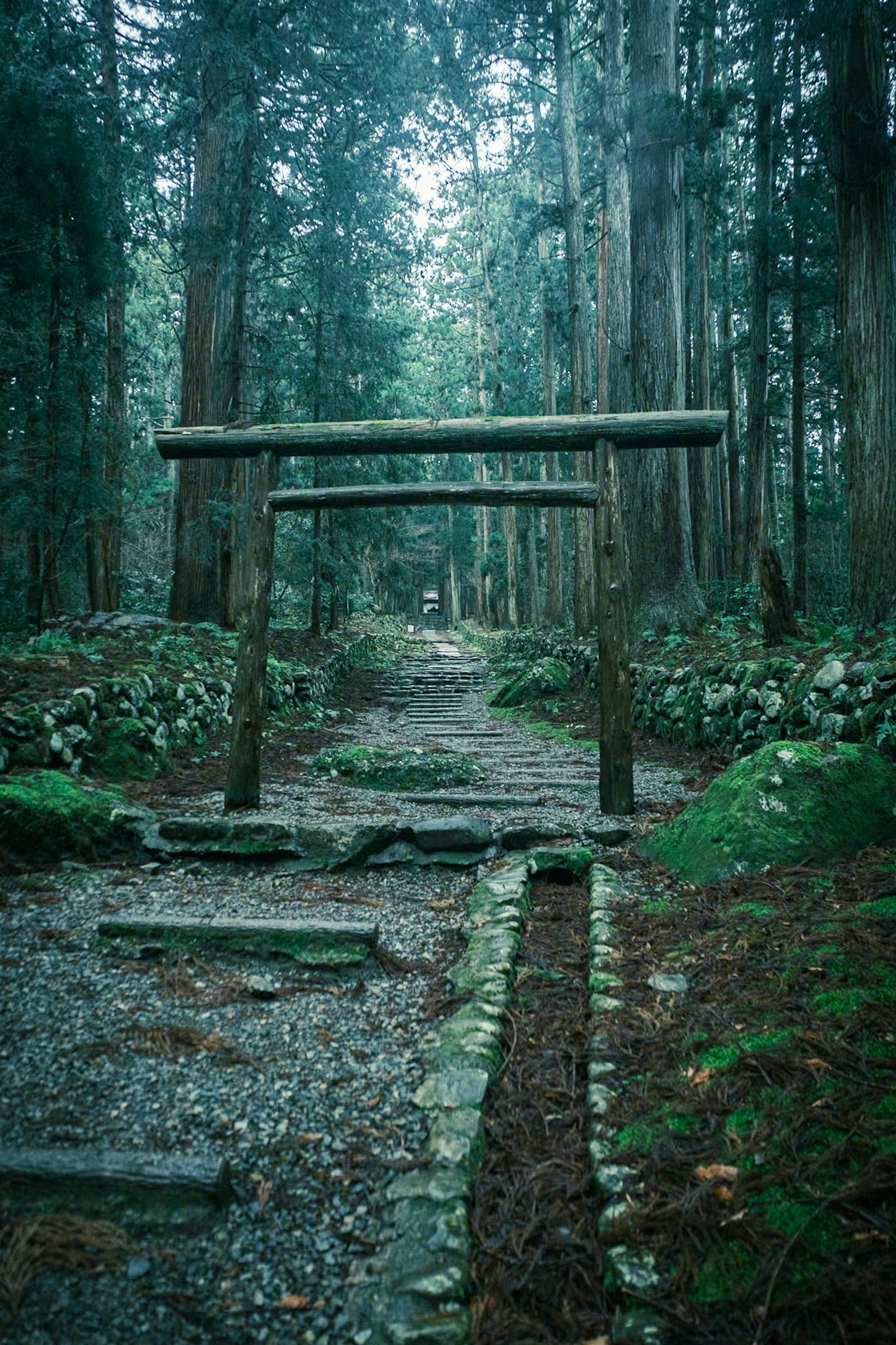 森林中的鸟居和石头小路