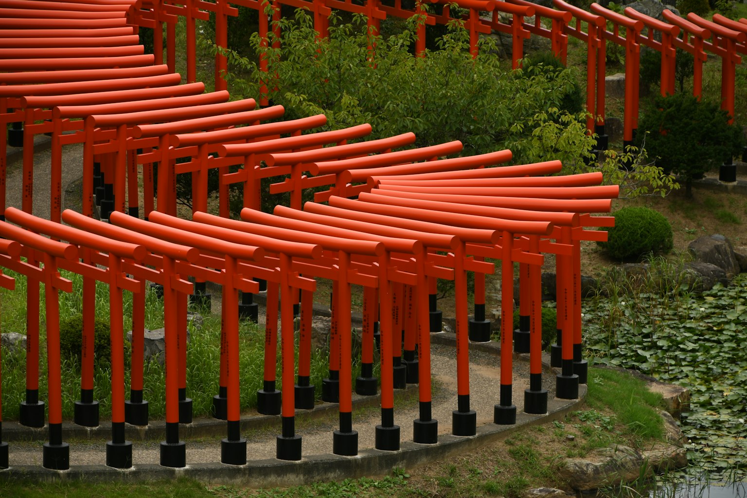 Bellissimo paesaggio con file di porte torii rosse