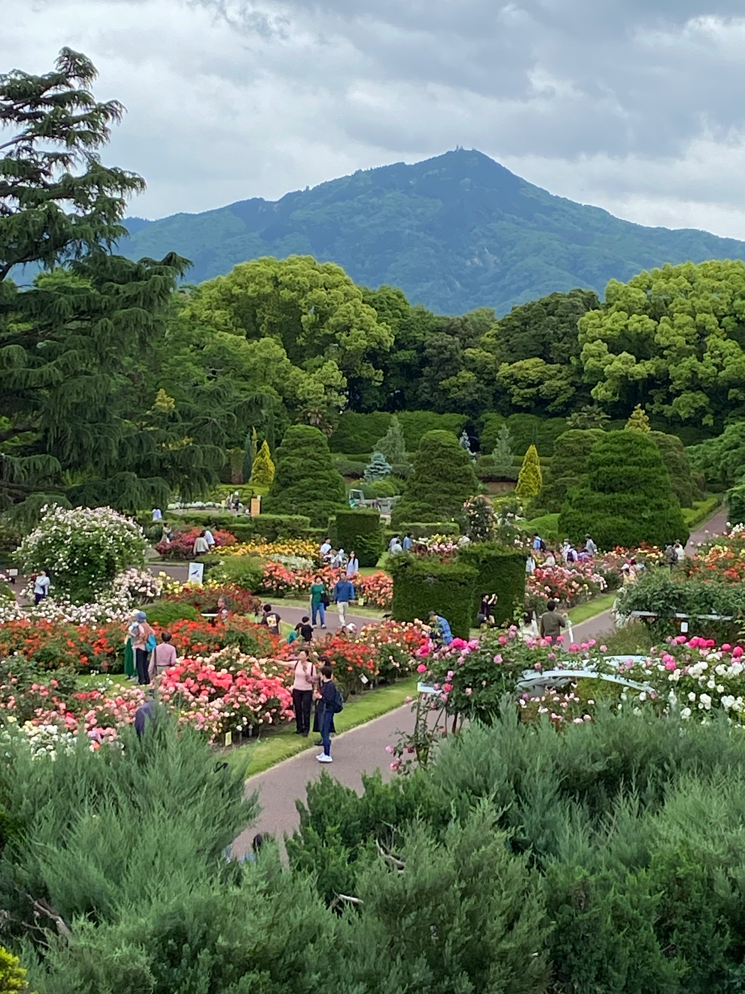 แปลงดอกไม้และทางเดินใน Kyoto Prefectural Botanical Gardens พร้อมภูเขาเป็นฉากหลัง