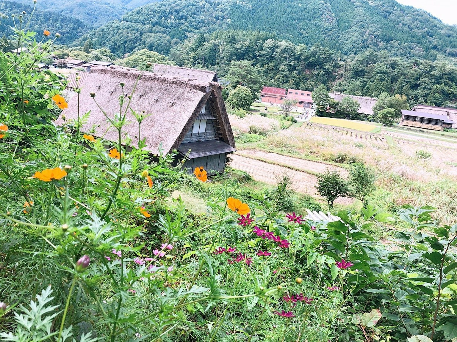 Casa de campo japonesa tradicional rodeada de flores vibrantes y montañas