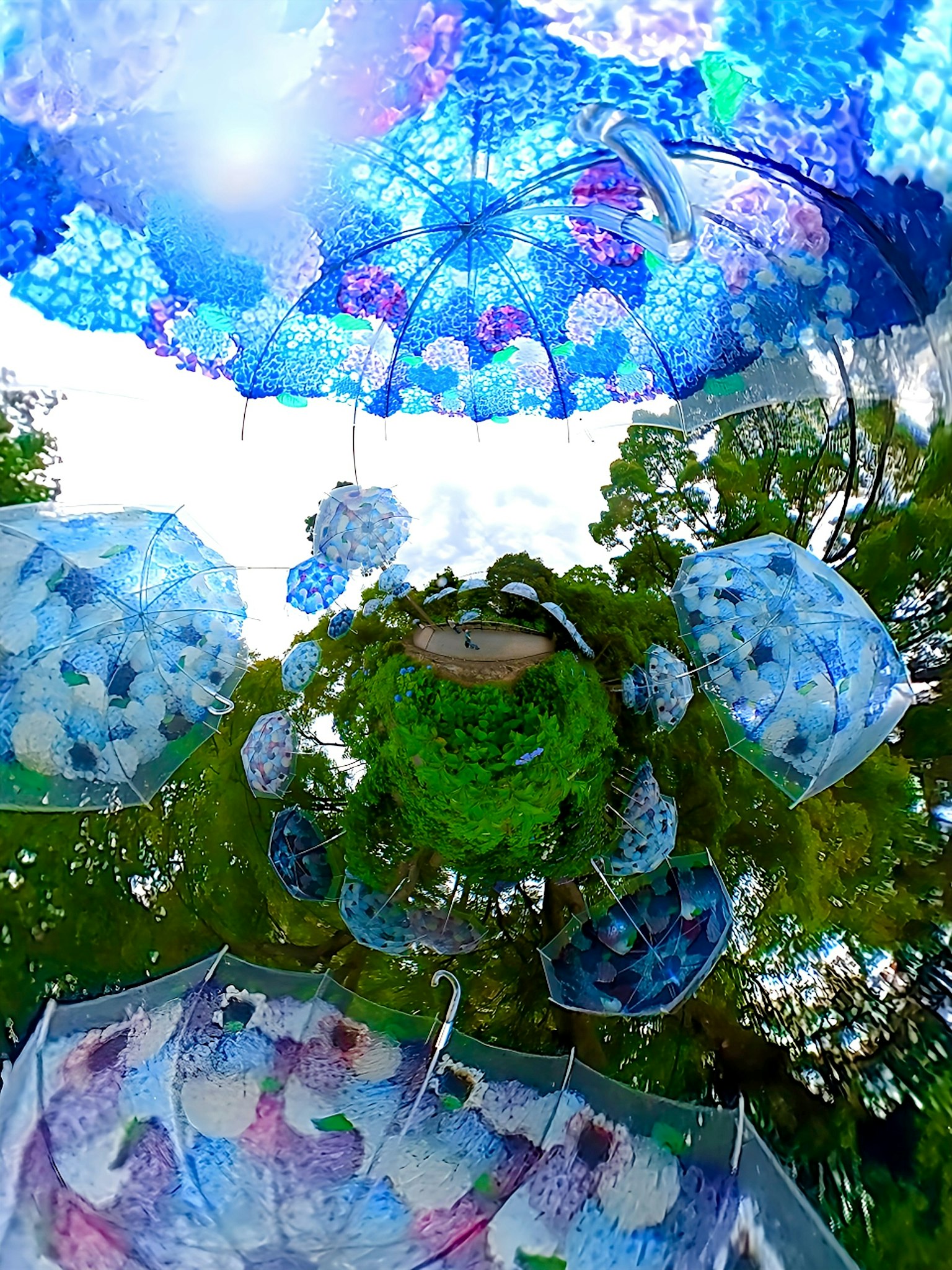 Parasol colorati si estendono nel cielo in una scena bellissima