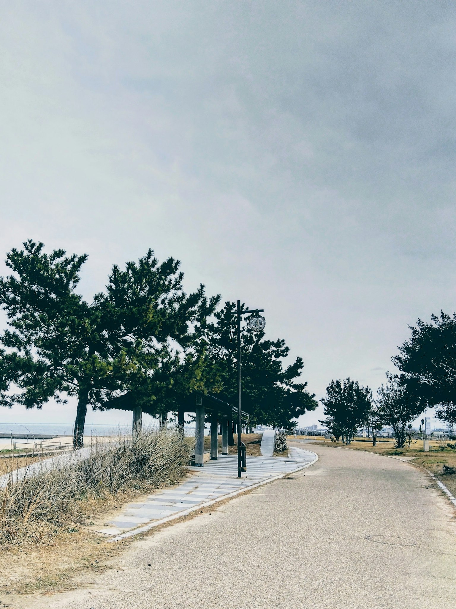 Sentier pittoresque bordé d'arbres sous un ciel dégagé