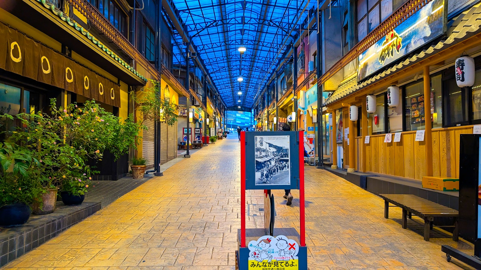 Una strada in un'arcata commerciale sotto un tetto blu con piante e insegne